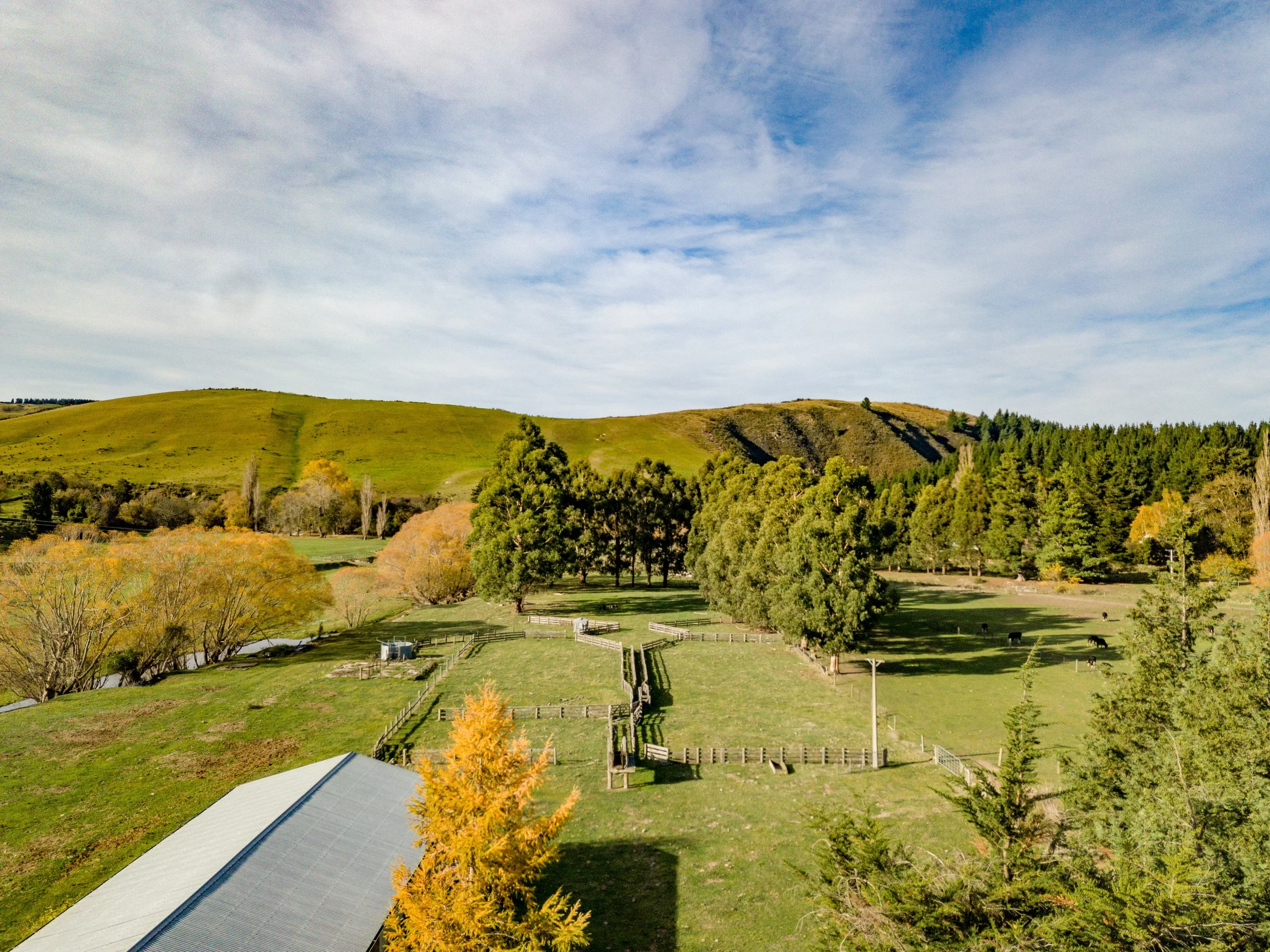 Seaview, North Otago, New Zealand | Farm Type: Pastoral | Acquisition Date: April 2021 | Farm Size: 505 Ha