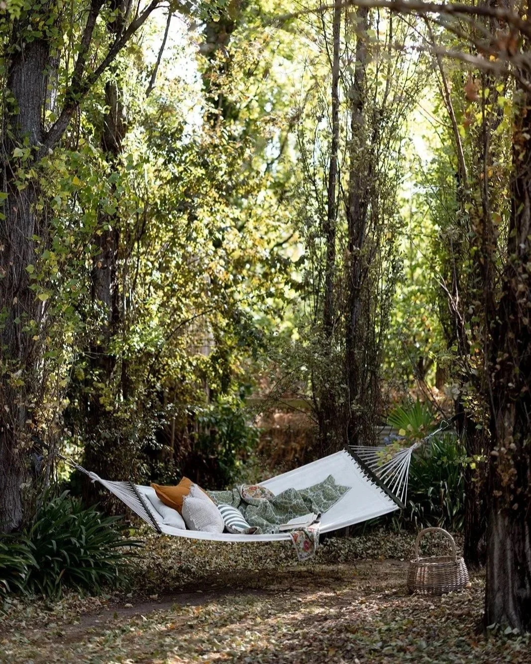A hammock with pillows and blankets hanging between two trees in a wooded area during daytime, with a woven basket on the ground nearby.