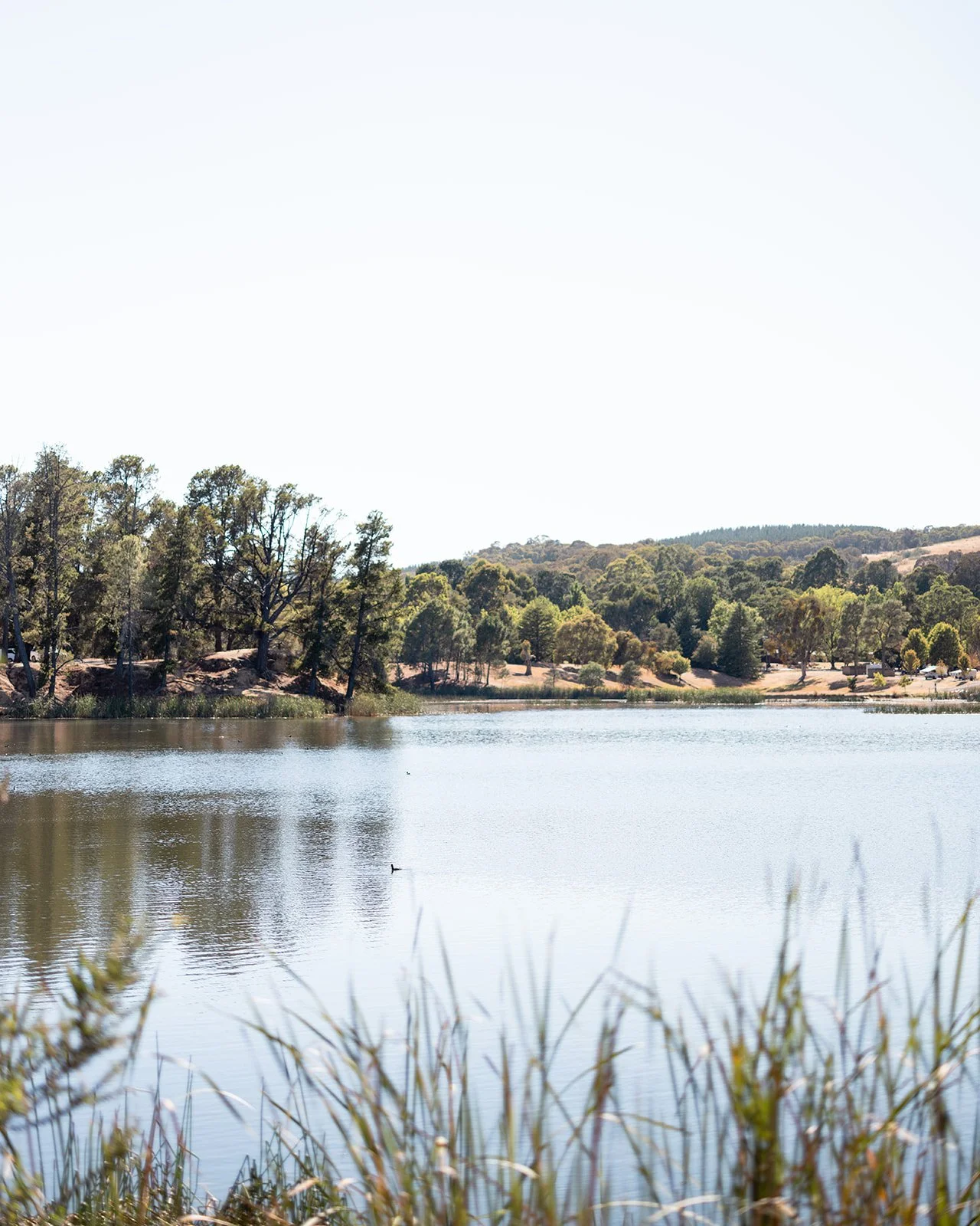 Family Activities in Beechworth: The Ultimate Guide for a fun filled getaway 