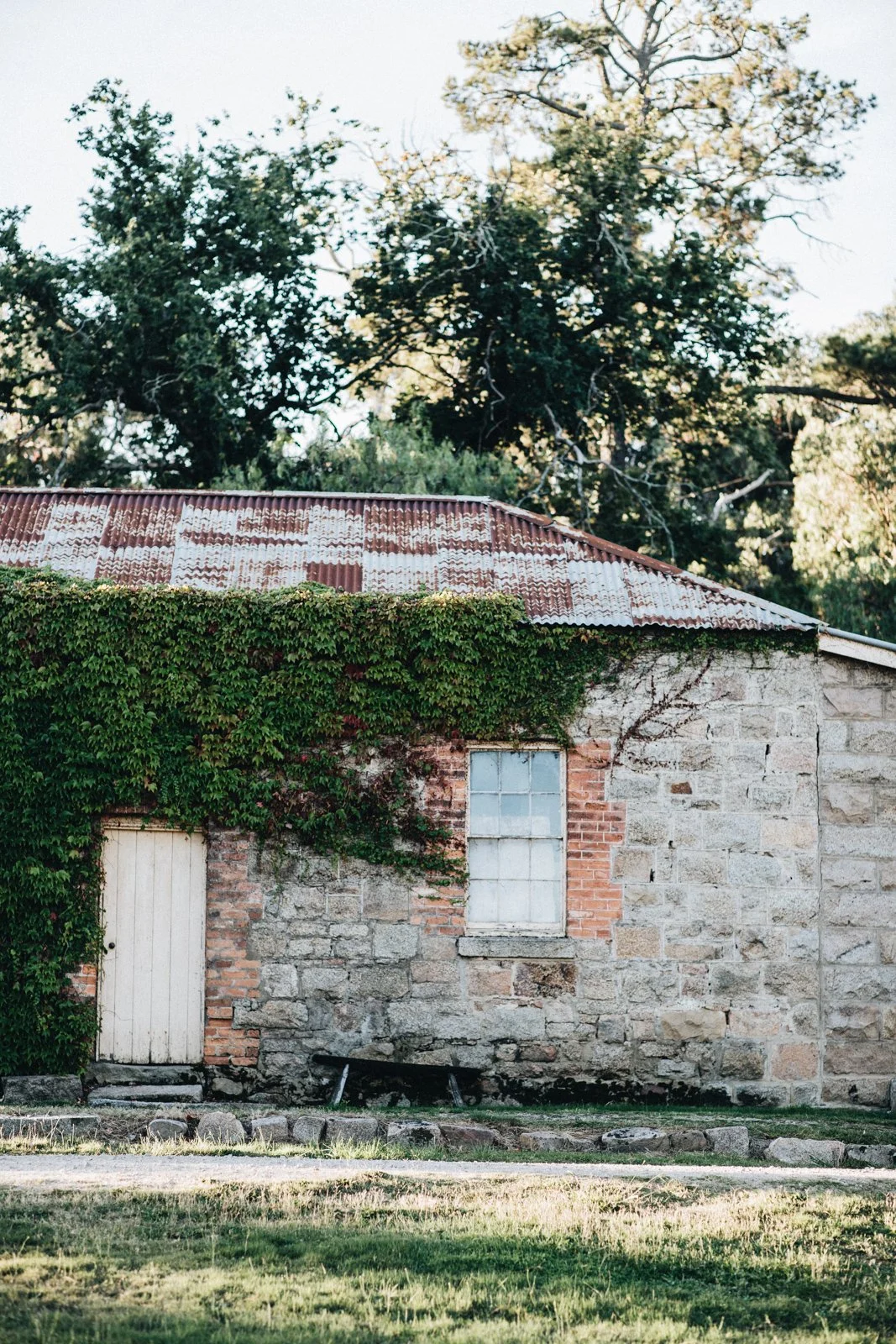 Old stone building with vine growing up the side