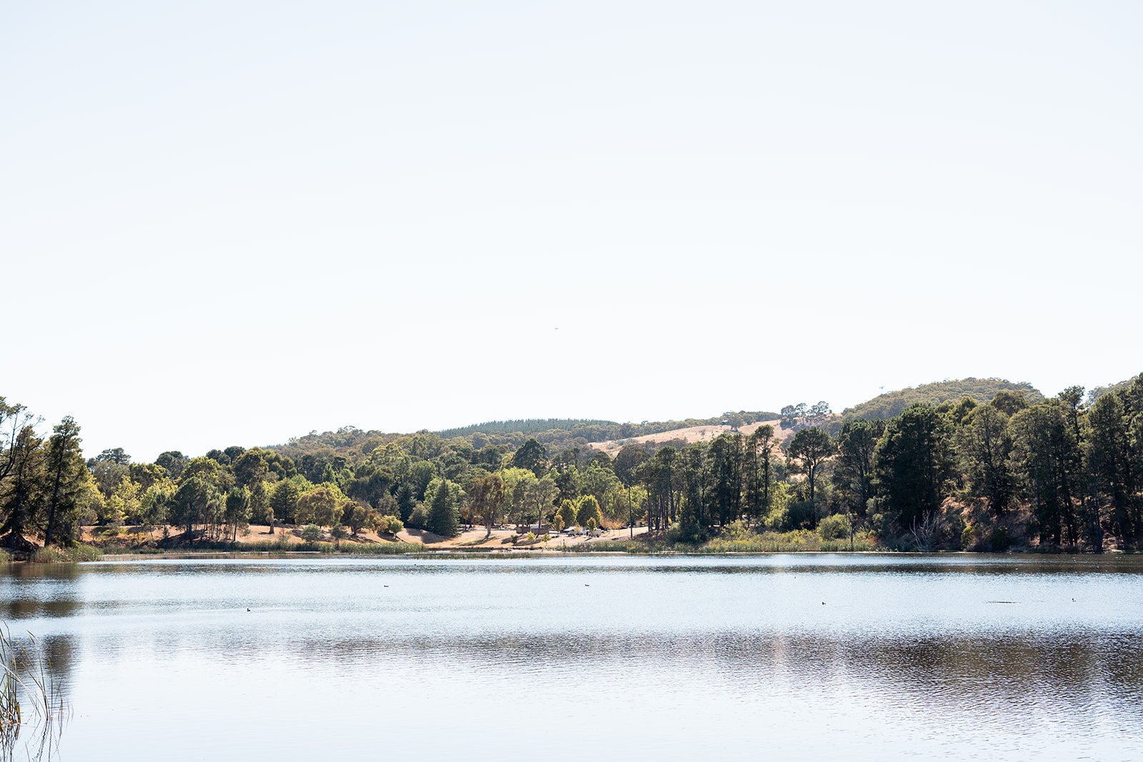 Lake Samuel Beechworth is a lovely place to visit with kids