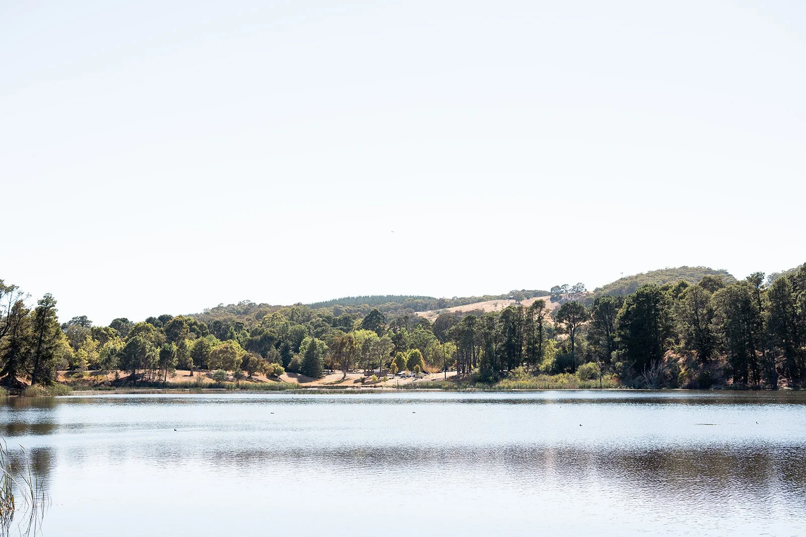 Lake Sambell Beechworth is a lovely place to visit with kids