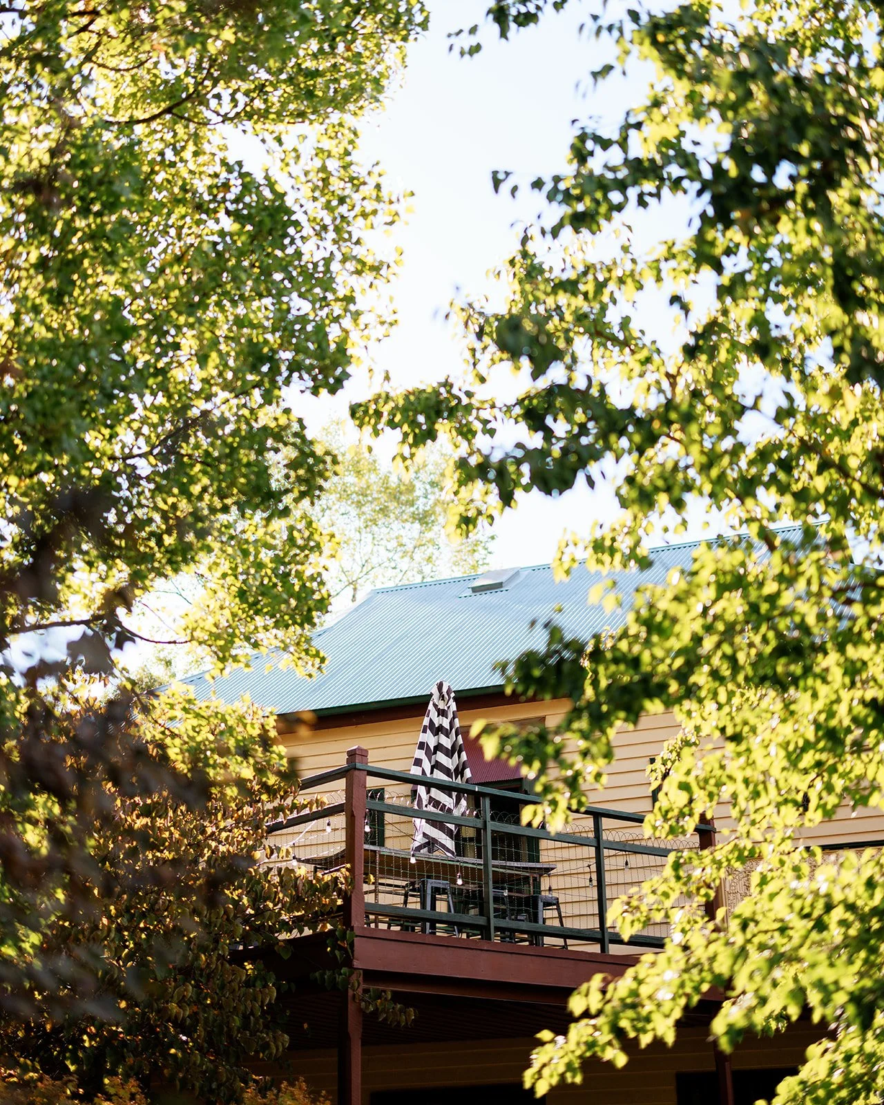 A second-story balcony with outdoor furniture and a striped umbrella, surrounded by green trees and foliage, with a house featuring a metal roof in the background.