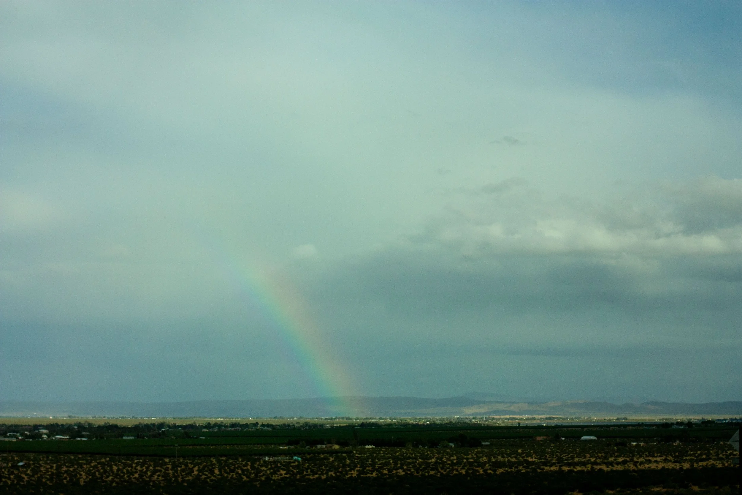 IMG_6229_1.jpg