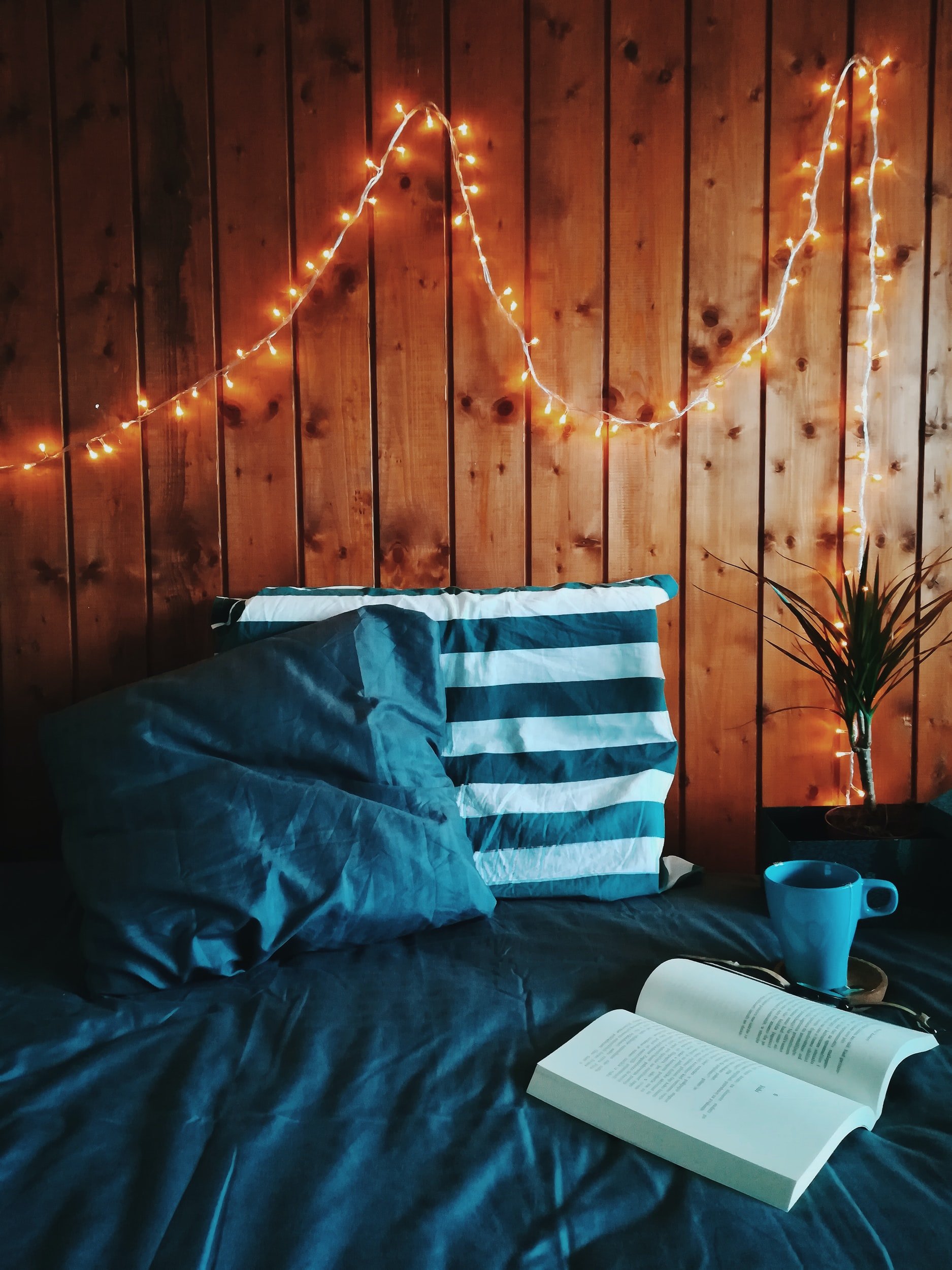 unsplash-image-bLTDe1Cpq-8.jpg