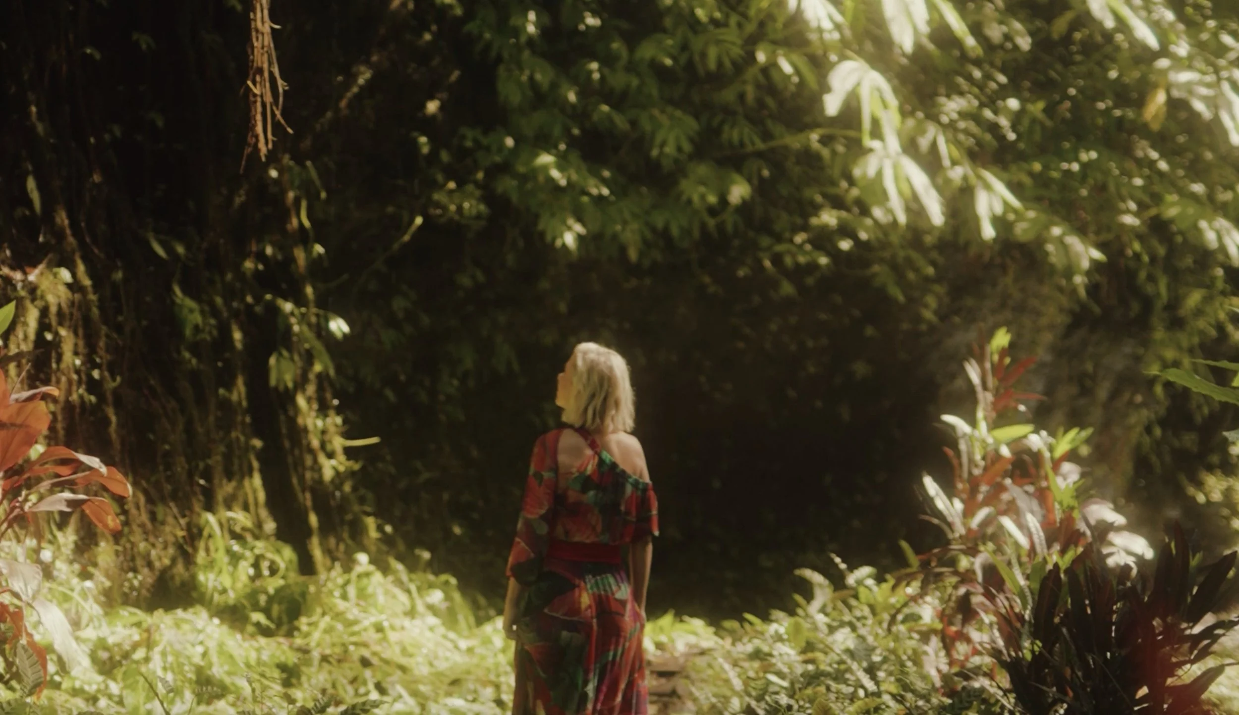 Tamsin coaching and shamanic deep feelers events vibe .jpg