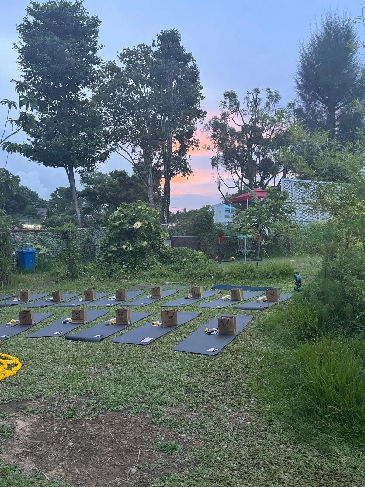 222d1945-f7e2-4a75-8f15-fc1b36d7ac7c 3.JPG