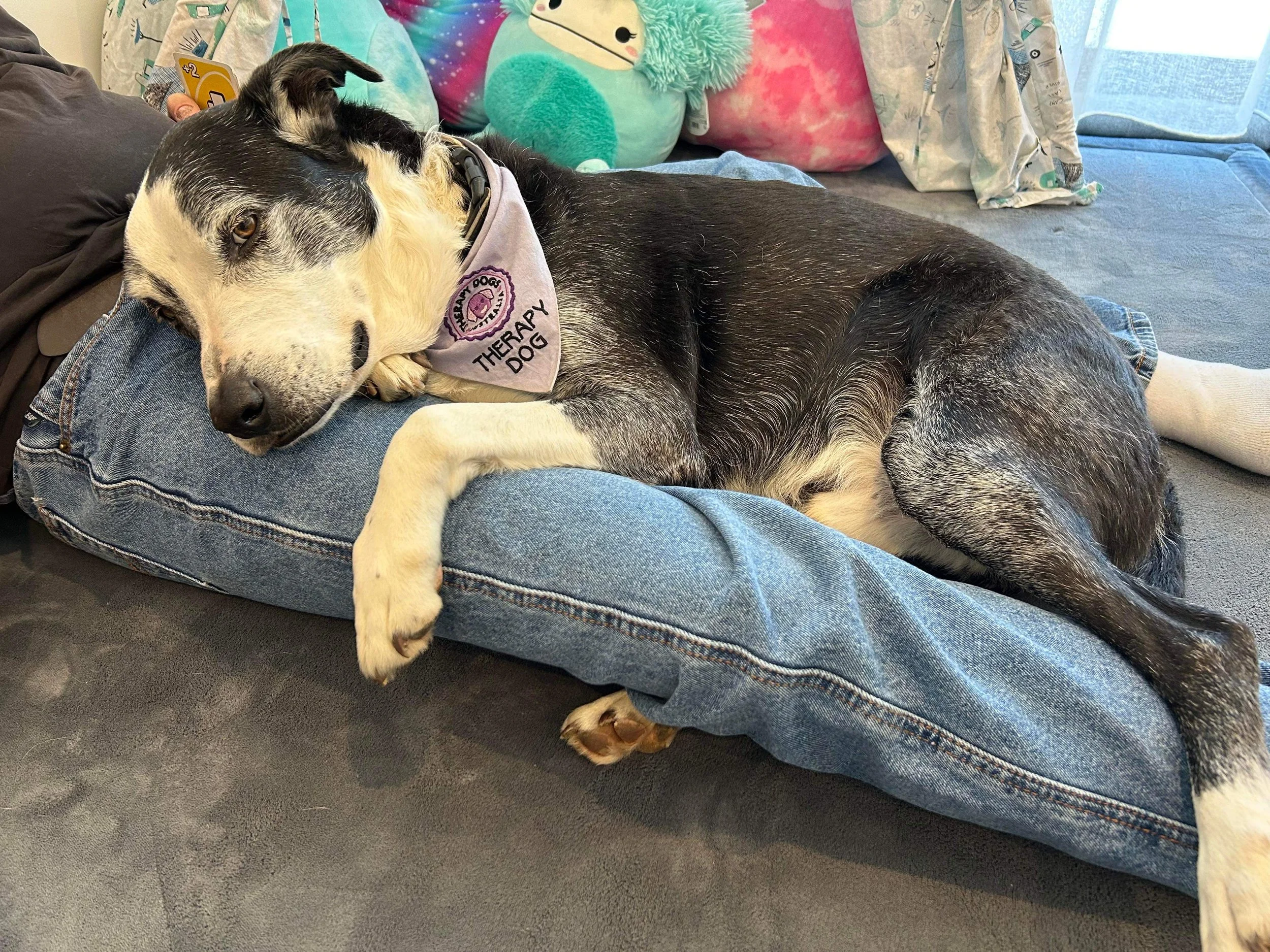 The Power of a Hug: Unveiling the Neurobiology Behind Emotional Well-being