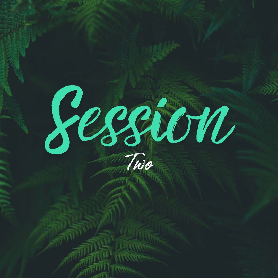 Session-2.png