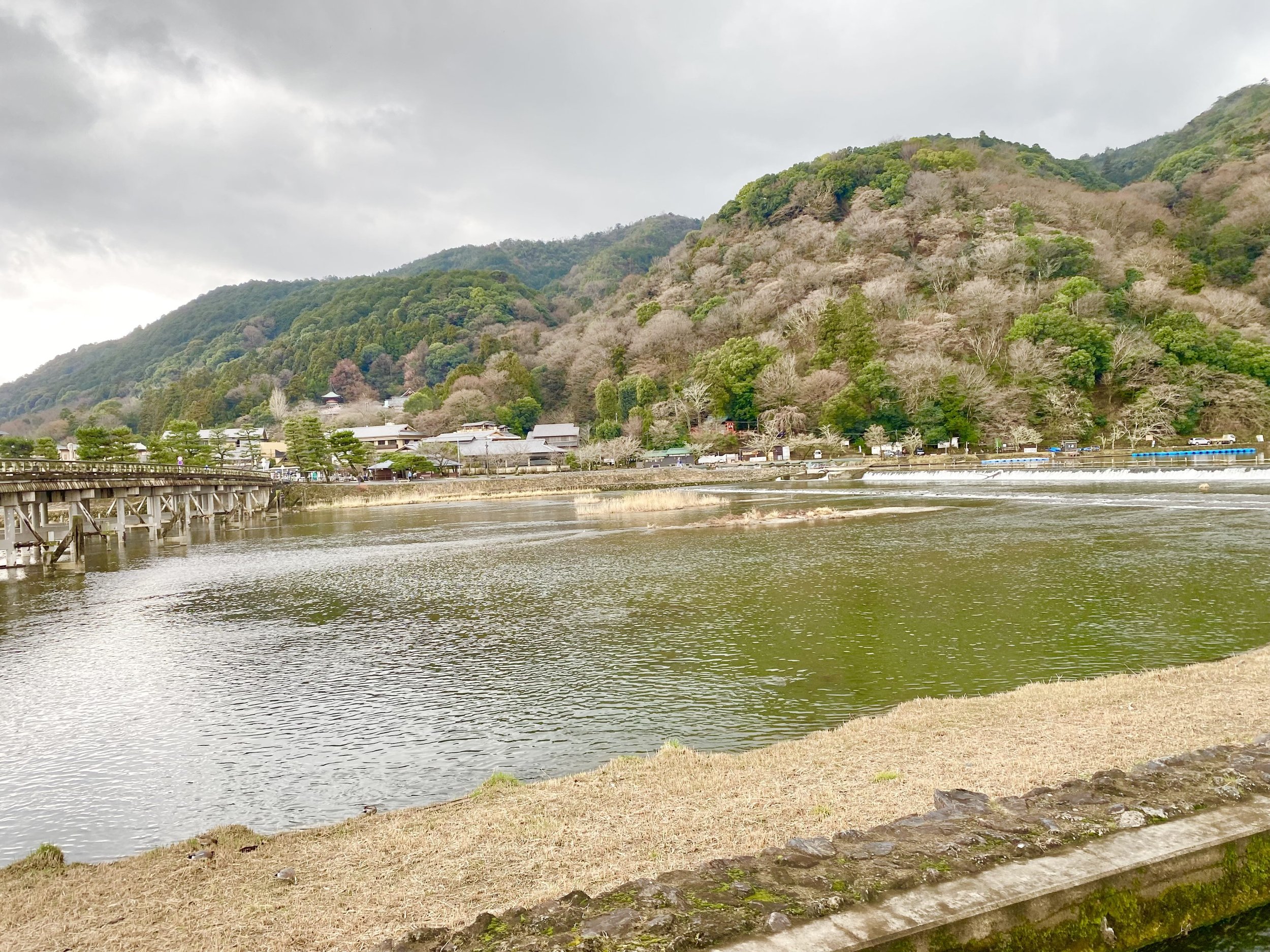 Spring in Japan - Pattern Print Collection Launch