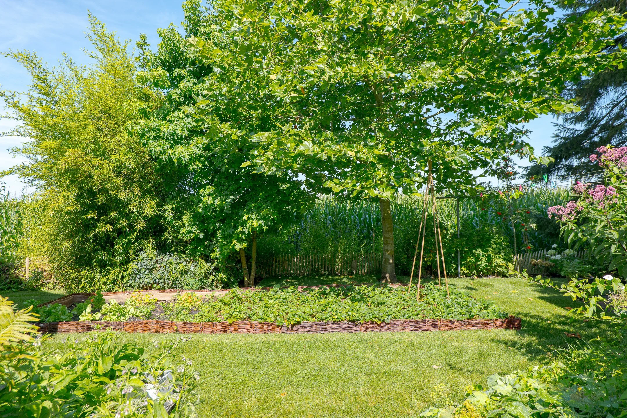 062 Zuiderdiep 69D Drouwenerzand Oosterom Makelaardij Borger.jpg