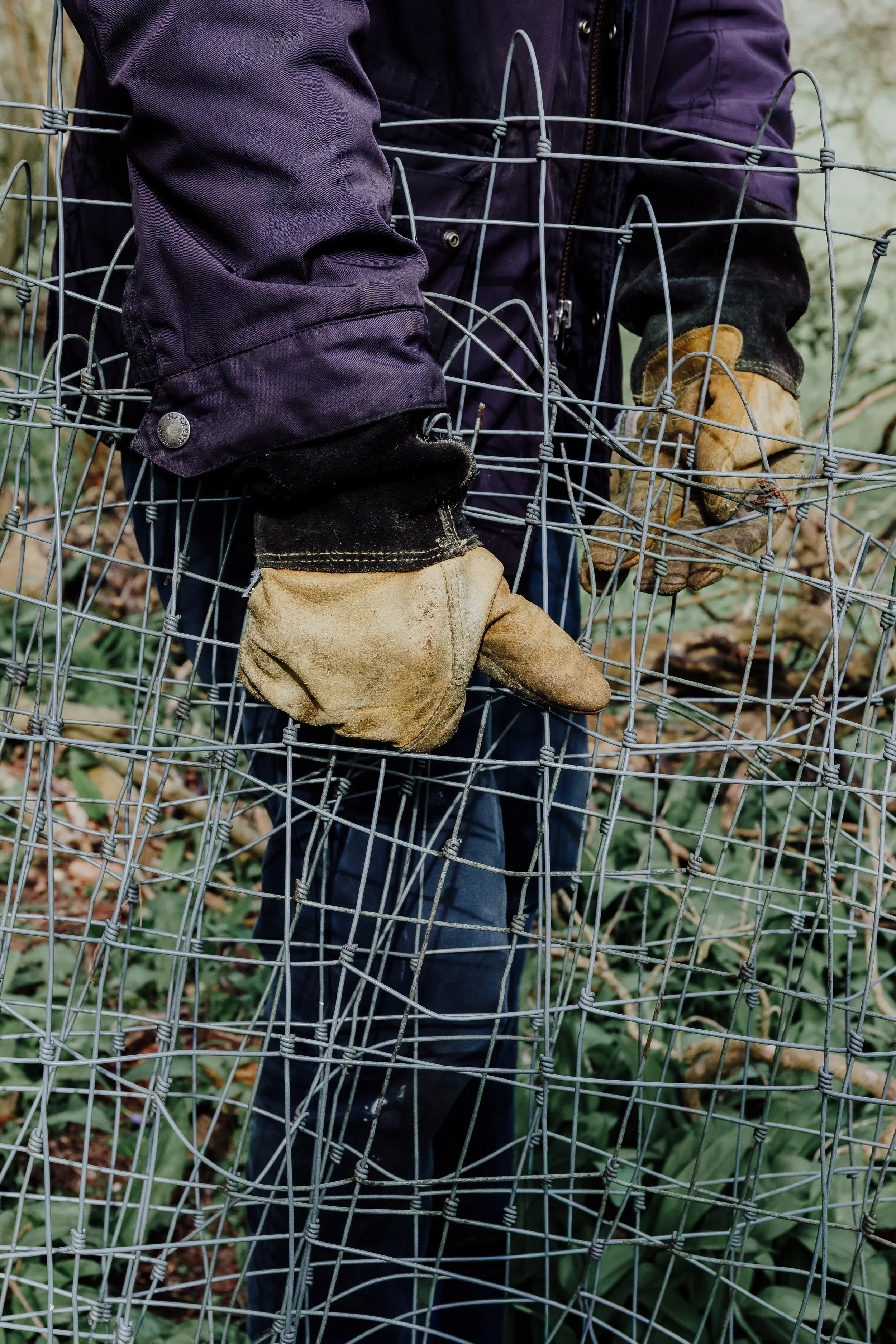 Lyscombe Fence Clearing_11.jpg