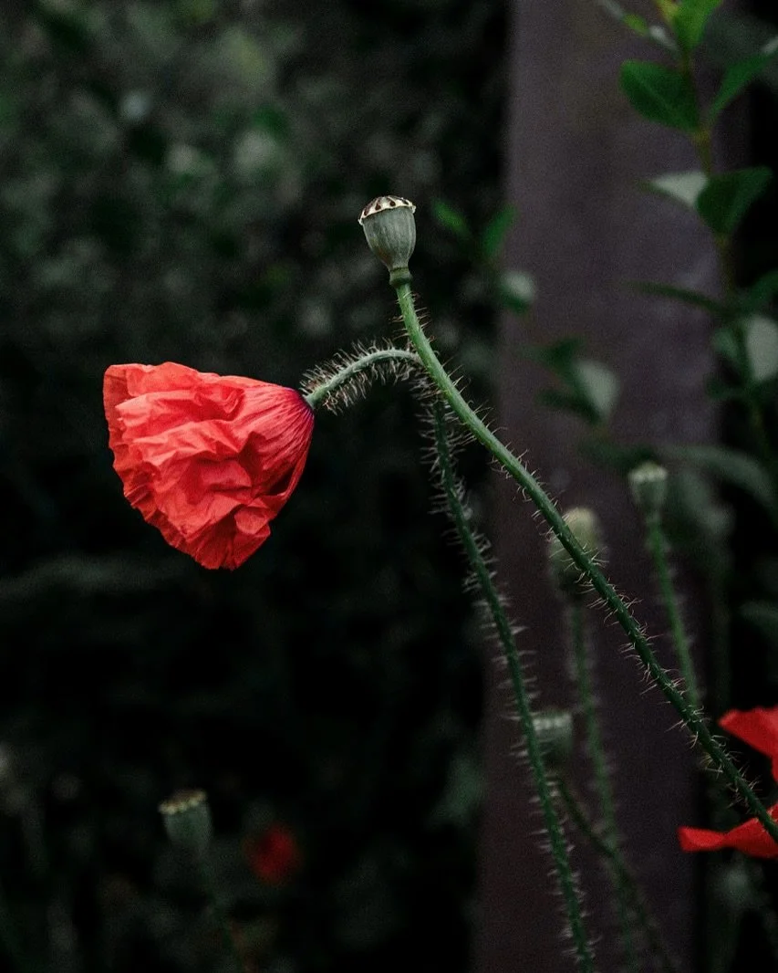 This is DEFINITELY my season 🌞 An eternal summer girl, I love everything about it, give me sea dips and long golden evenings forever, please.
 I&rsquo;ve been loving recent outdoor shoots, photographing people immersed in nature. If you&rsquo;re int