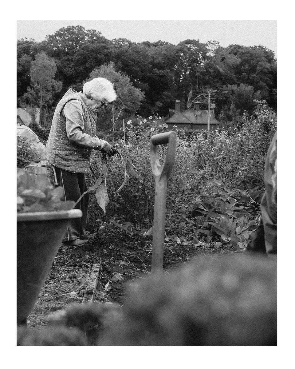 One of the highlights of this year has been spending time documenting the shared allotment @in_jolly_good_company a Dorset-based charity doing important work by providing support for people living with dementia through inclusive activities that nurtu