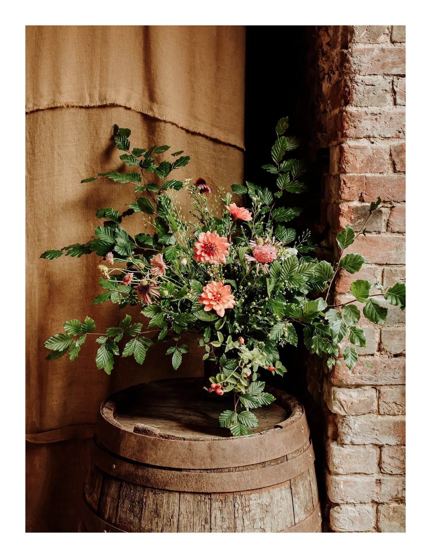 I still have shoots from this year that I haven&rsquo;t shared yet, waiting patiently on my hard drive, and somehow we are almost at the end of it. Earlier this week I thought I might try and post everything before the year is out&hellip; but I&rsquo