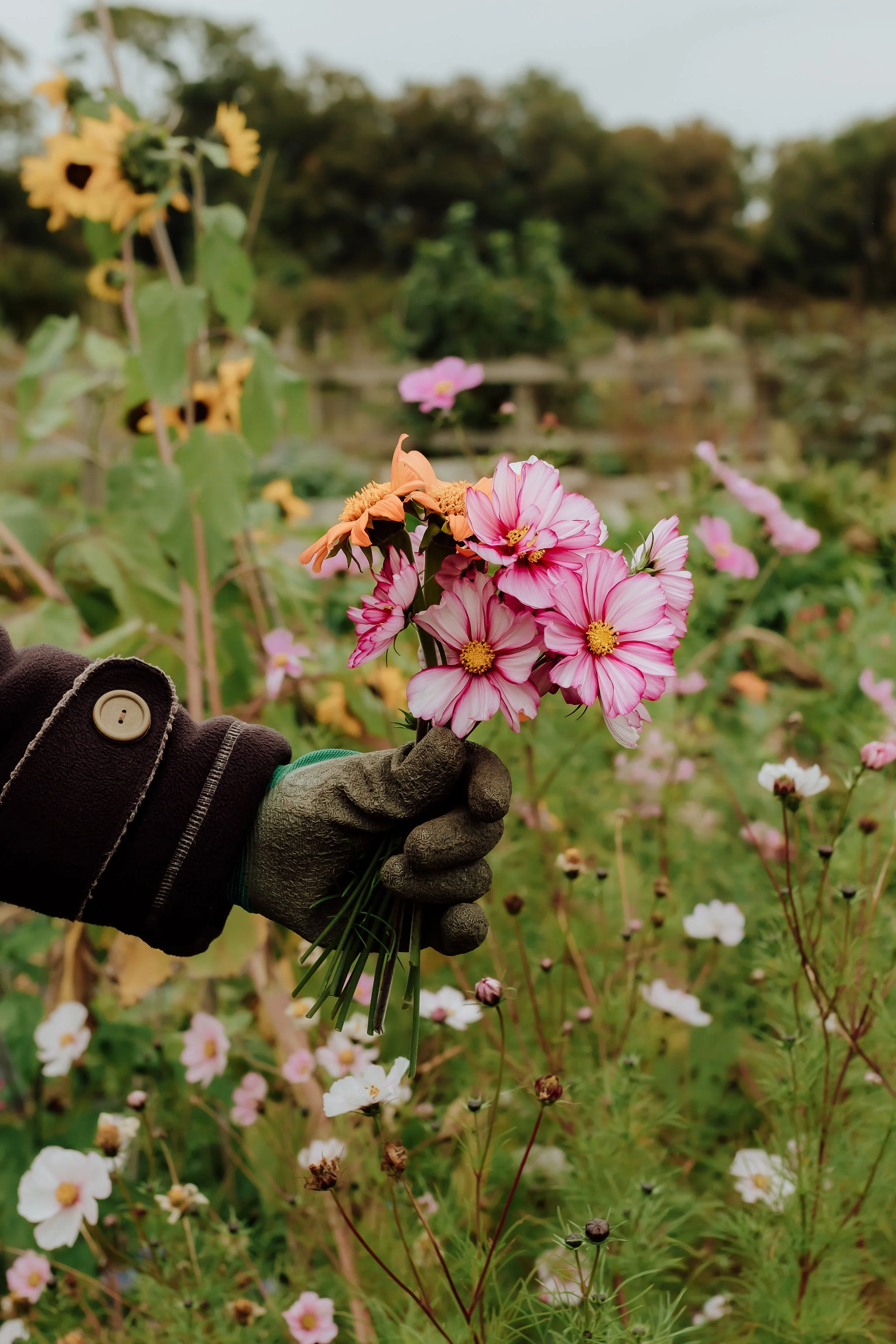 What I Offer: Relaxed, Client-led, Brand Photography Sessions.