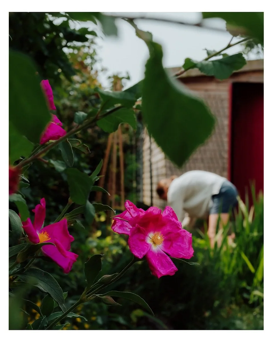 If you&rsquo;re working with gardens, flowers and outdoor spaces, and you&rsquo;ve been thinking about booking a brand shoot, now is a good time to start planning.

My sessions are built around creating a complete visual story of your work, with time