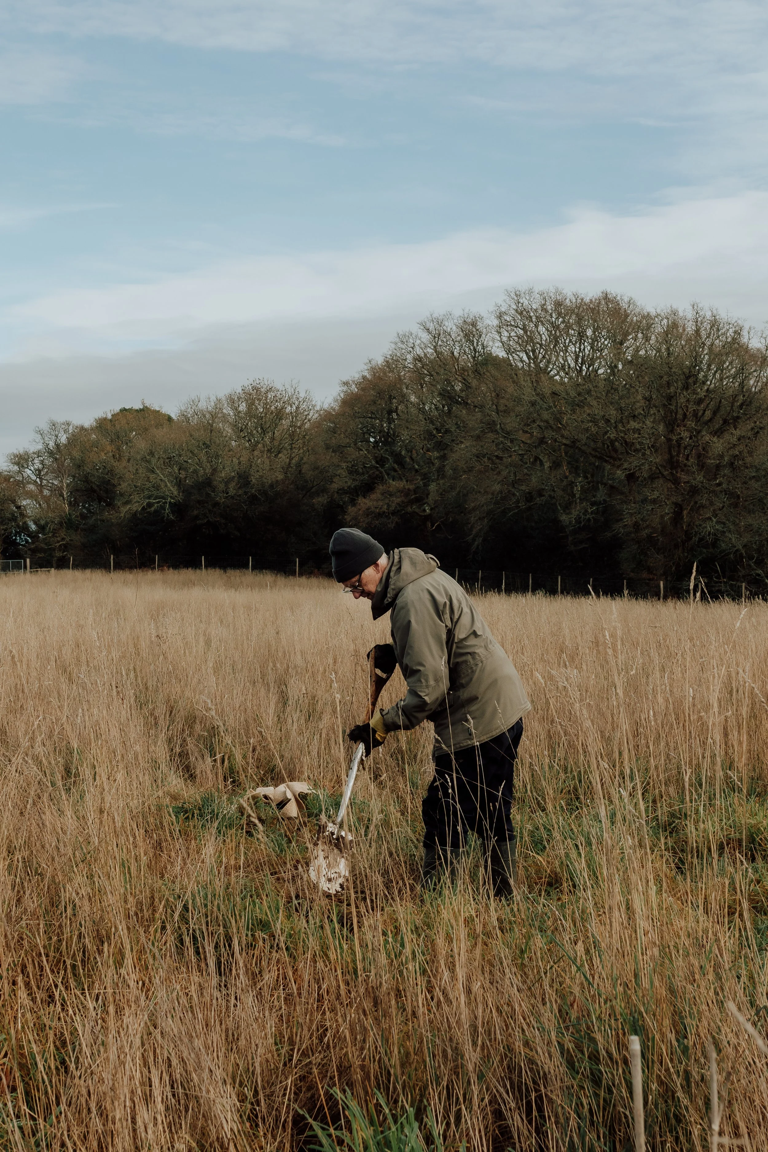 A volunteer planting trees at West Holme rewilding site - December '25