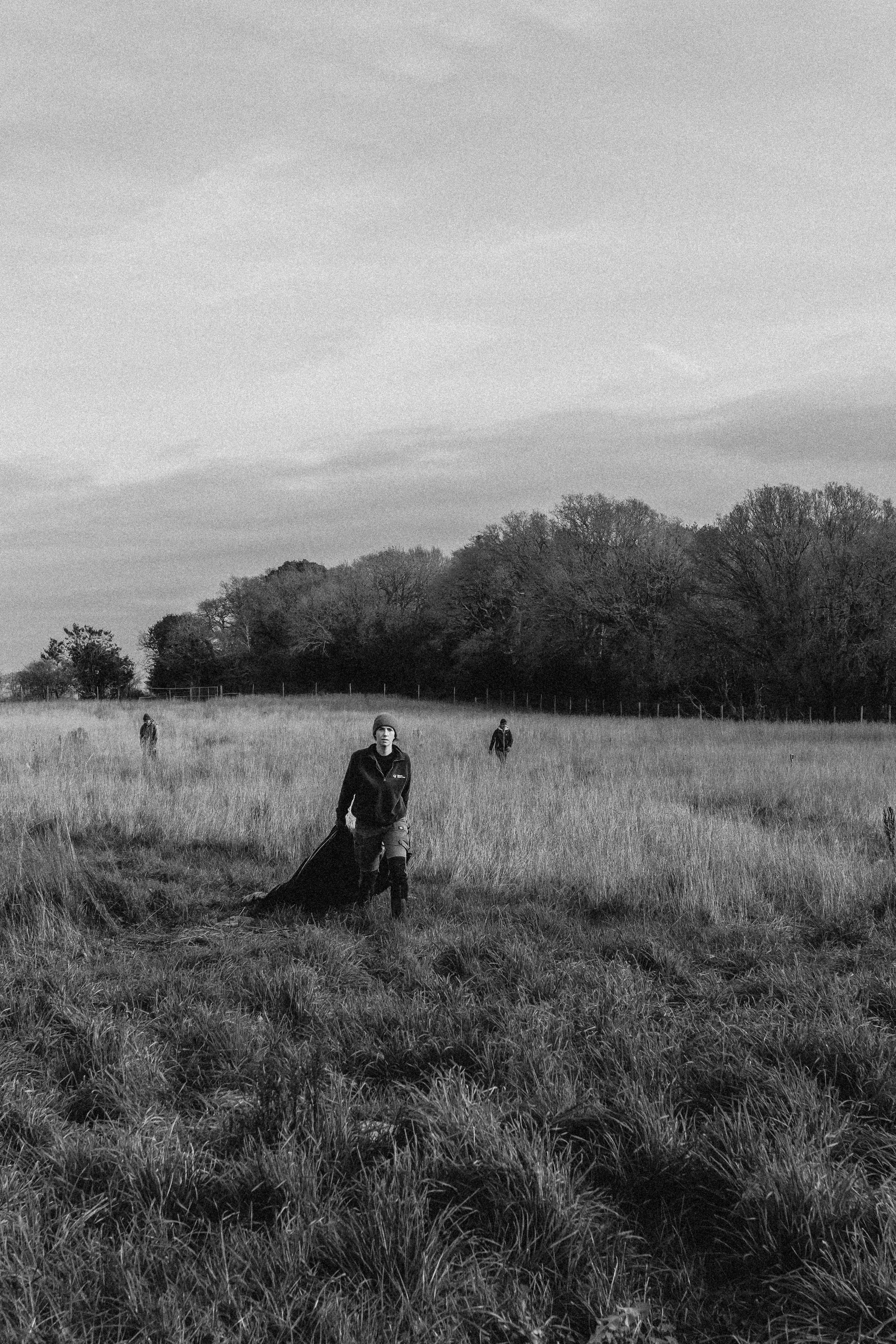 600 trees being planted at a smaller rewilding site in West Holme, Dorset - December '25