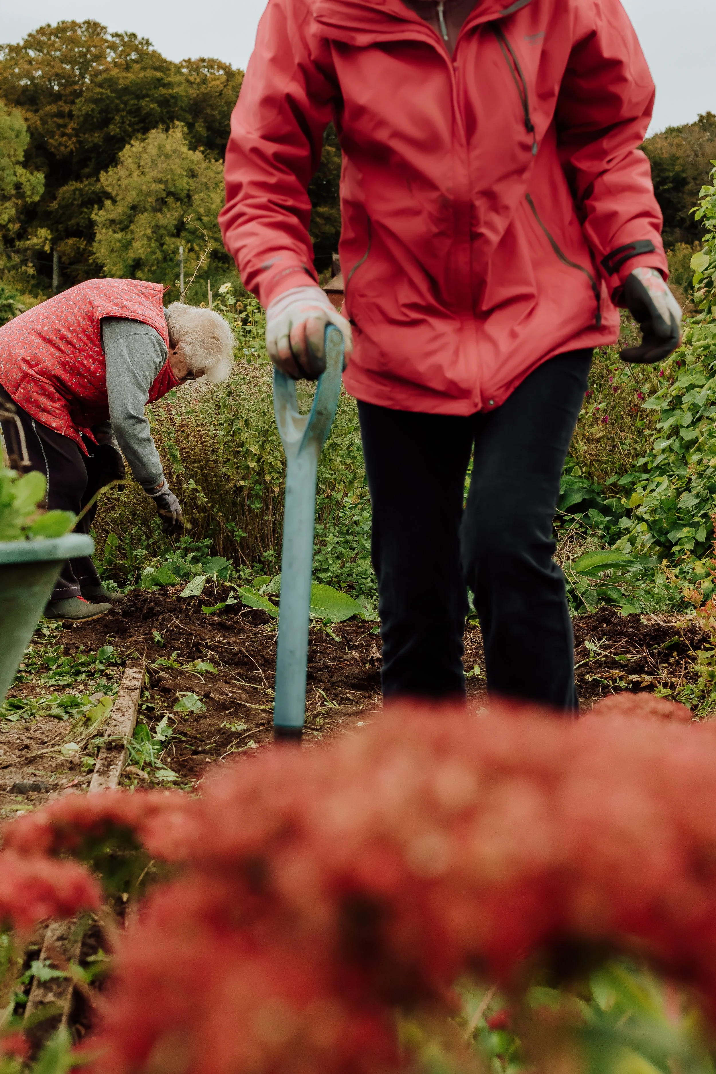 IJGC_036 without badge.jpg