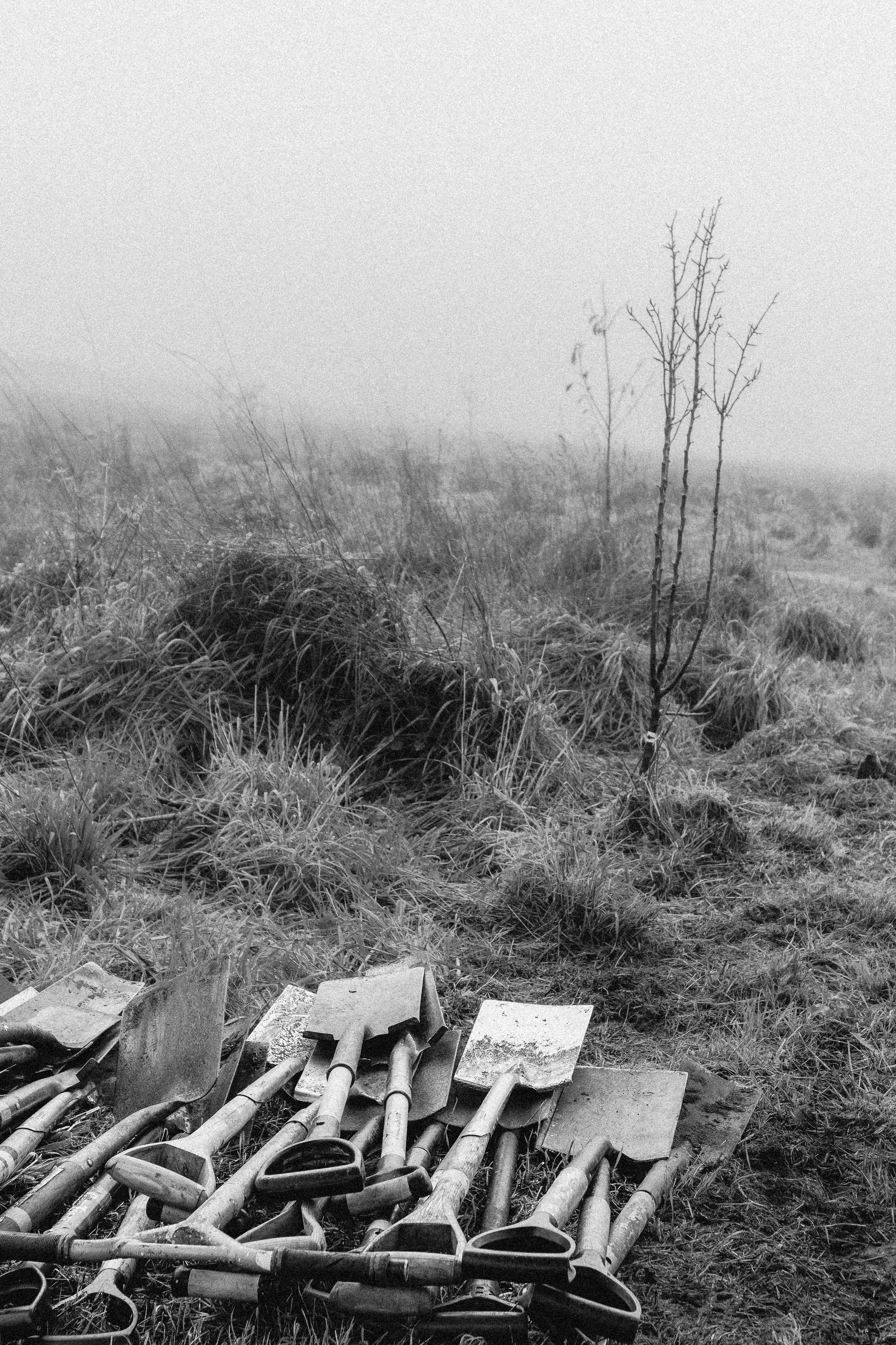 Community tree planting for an edible orchard at Wild Woodbury - November '25