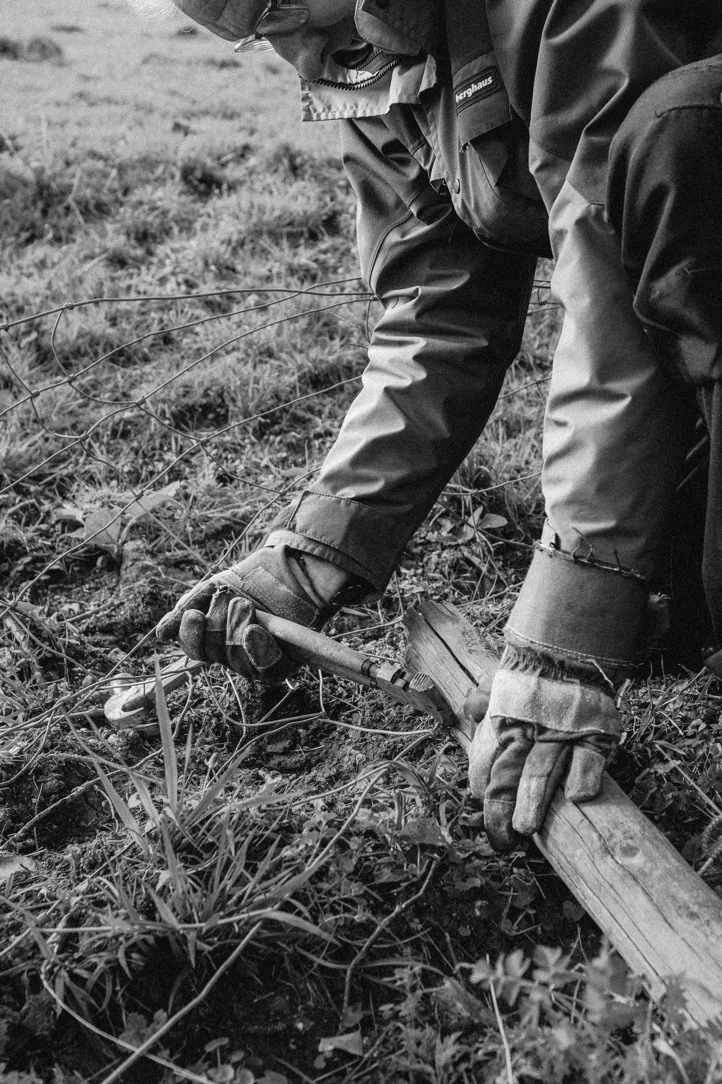 Lyscombe Fence Clearing_02.jpg