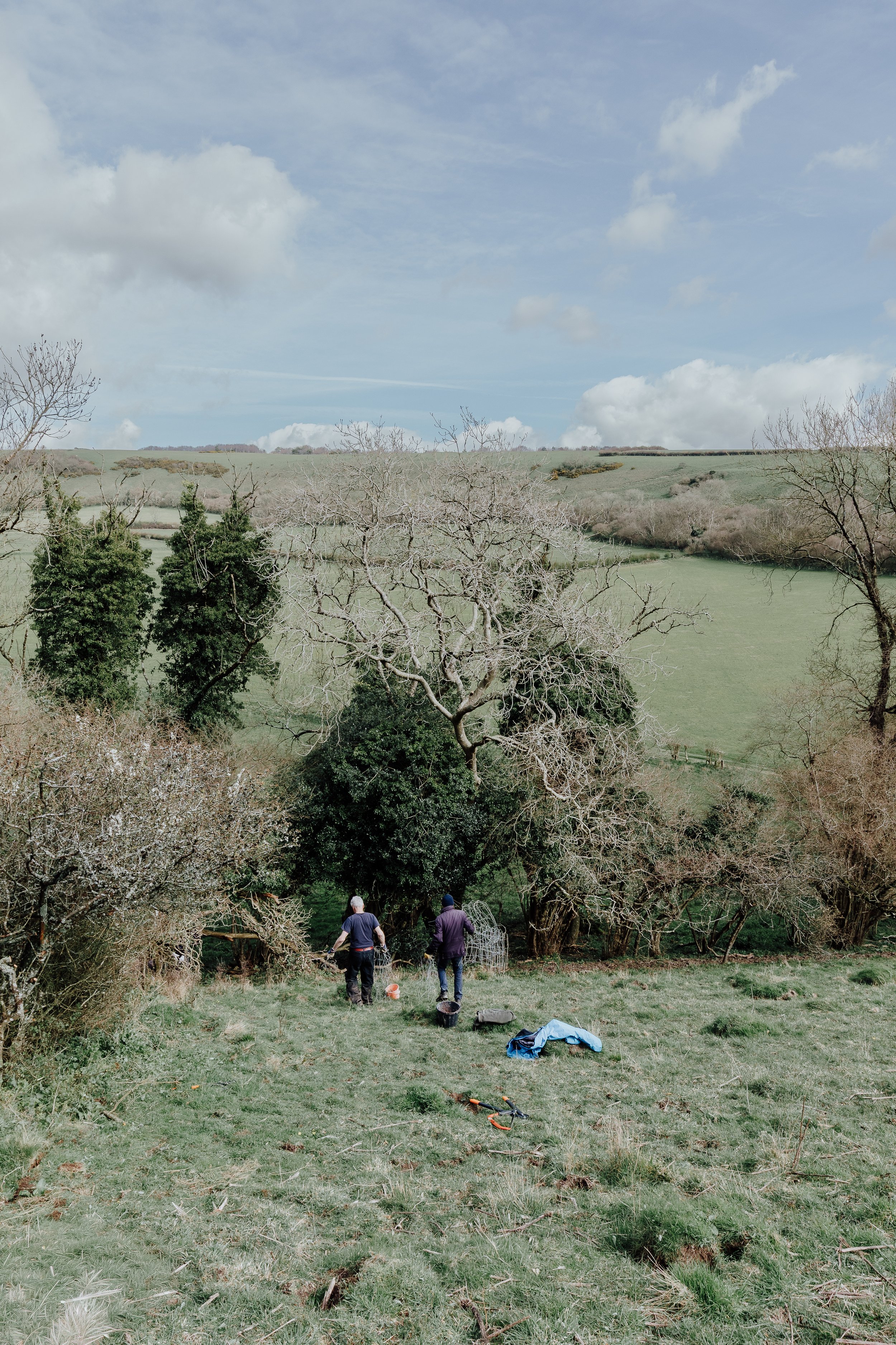 Lyscombe Fence Clearing_15.jpg