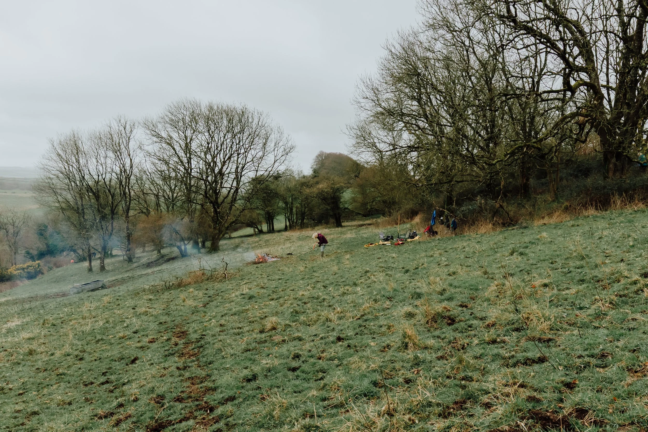 DWT_Lyscombe_Shrub Clearing_09.jpg
