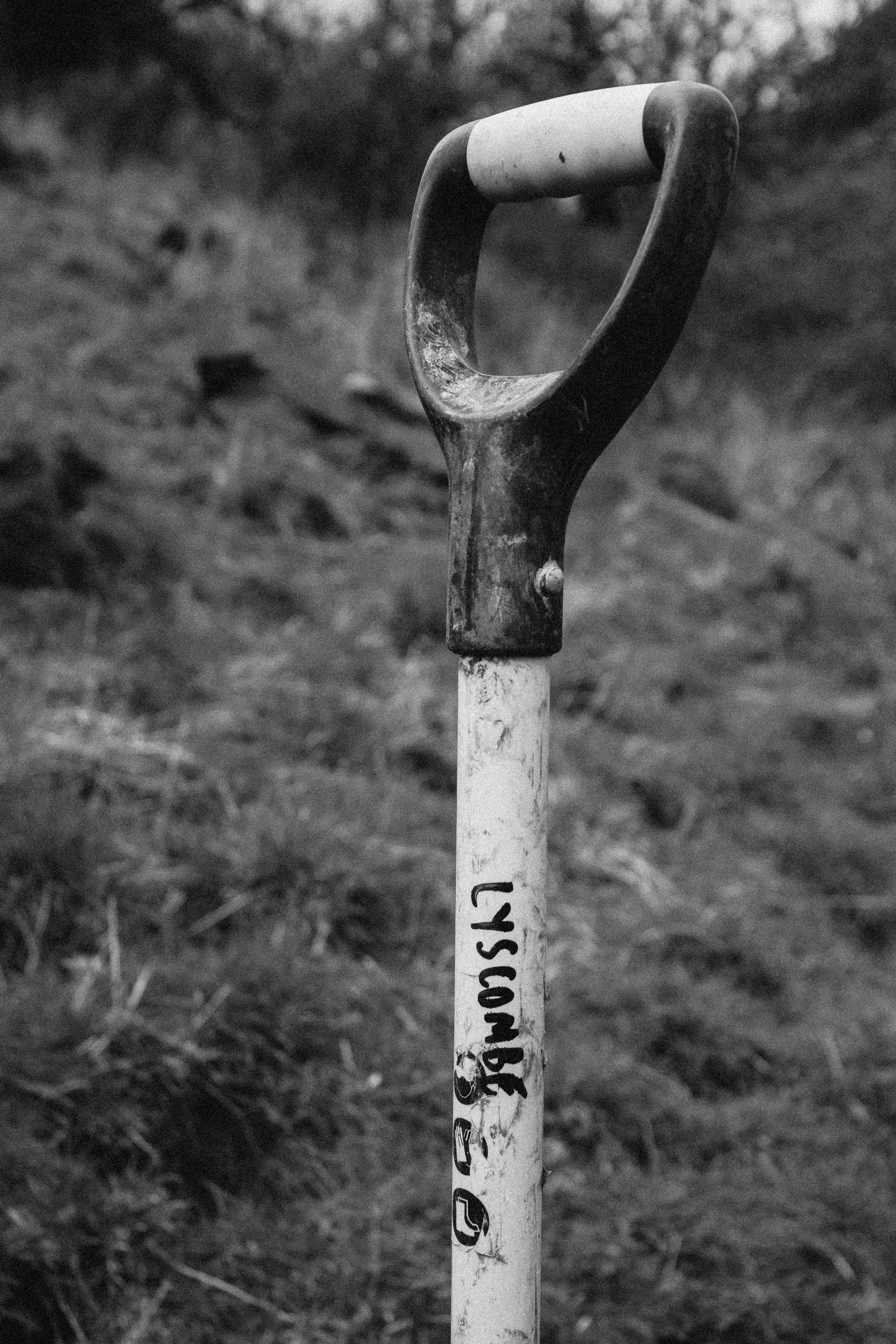 Lyscombe Fence Clearing_12.jpg