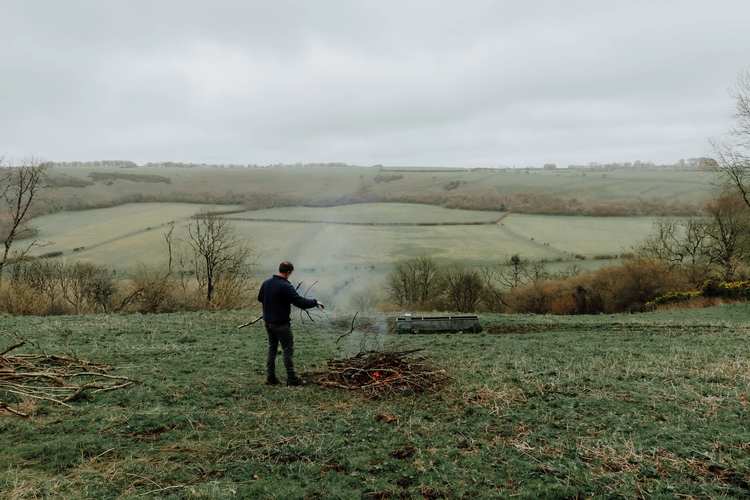 Clearing and burning shrub to open a natural pathway for livestock movement across the land. Lyscombe, Dorset - February '26.