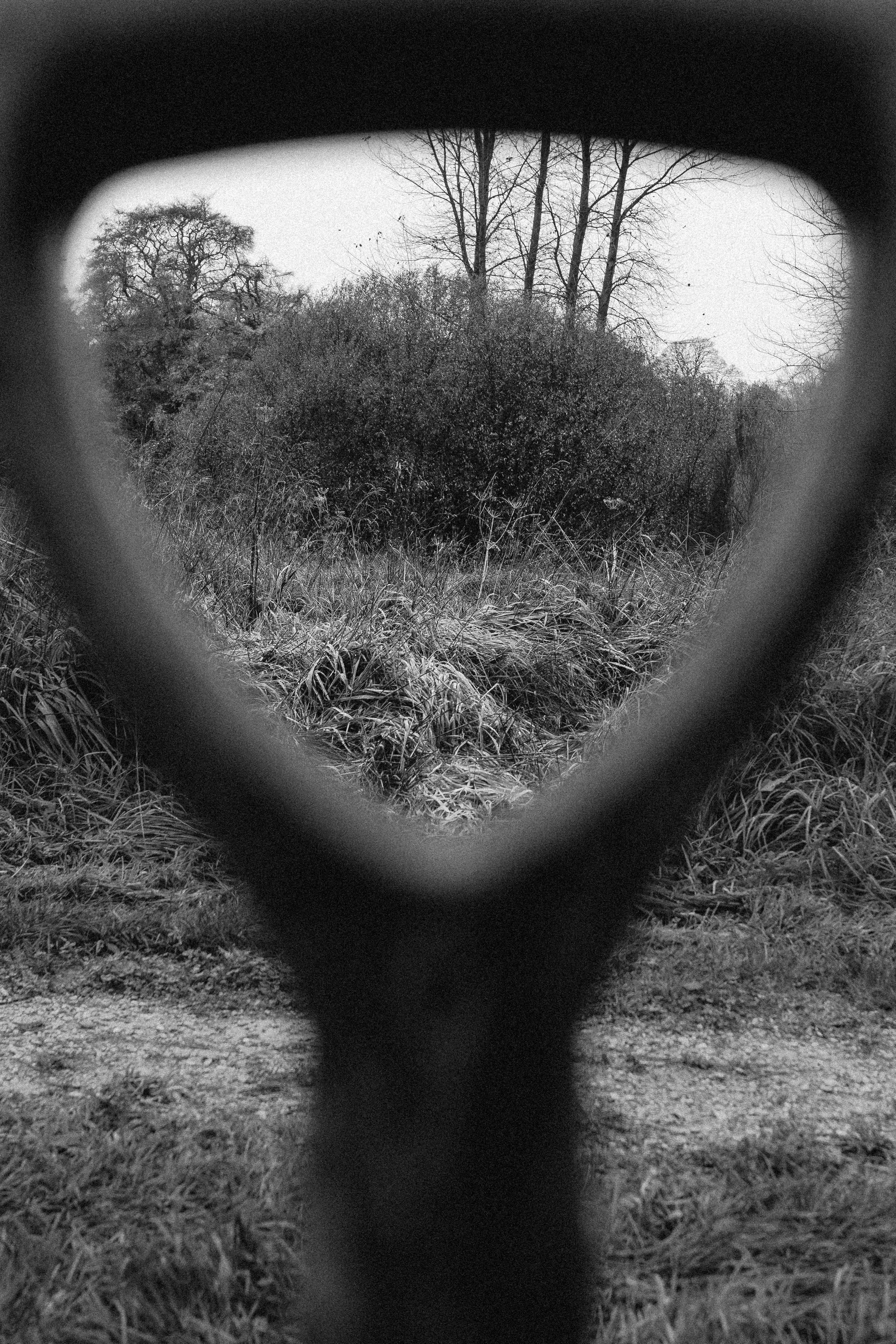 Community tree planting for an edible Orchard at Wild Woodbury - November '25