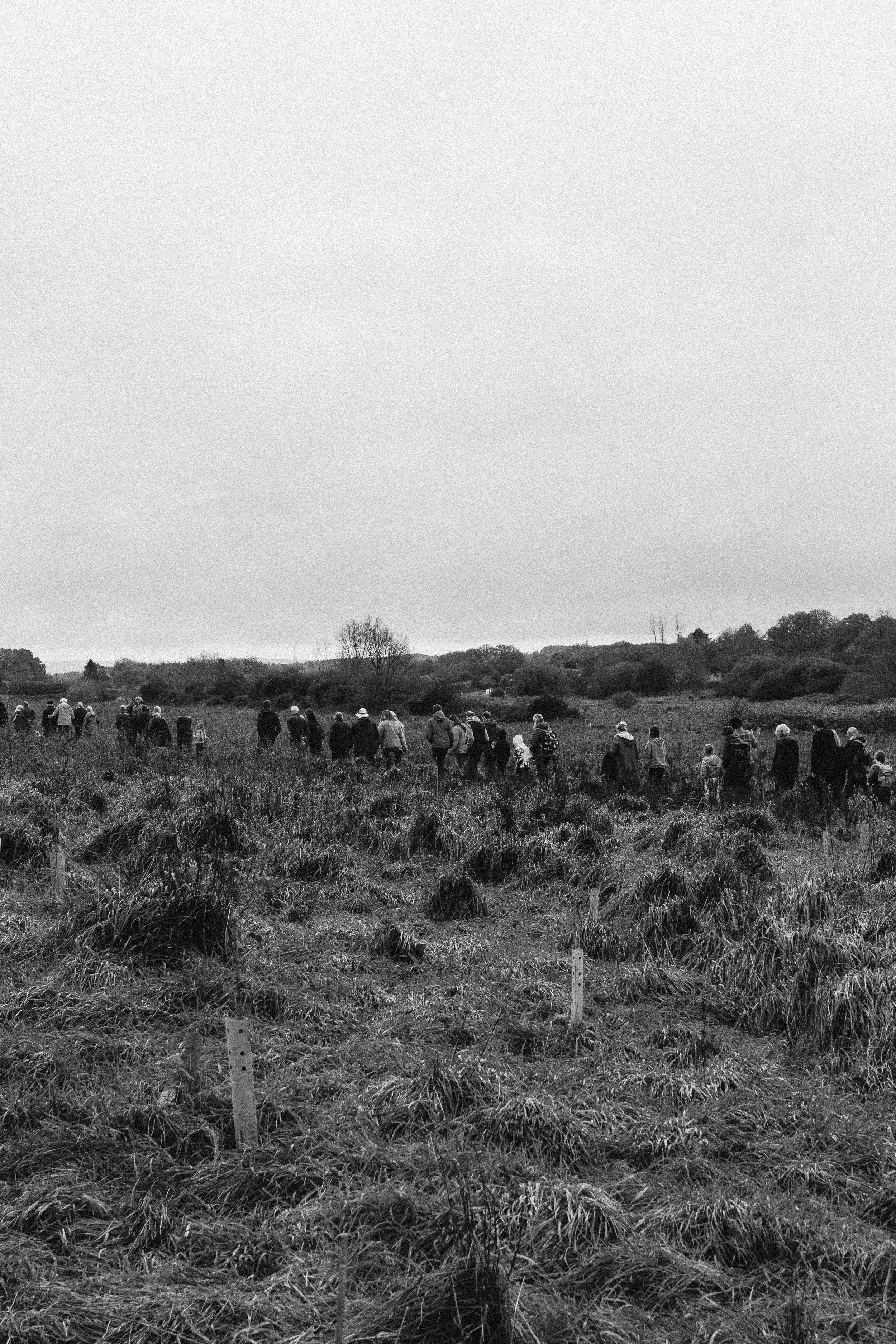 Welcoming the community at Wild Woodbury. A walk of the site with The Dorset Wildlife Trust - November 25'