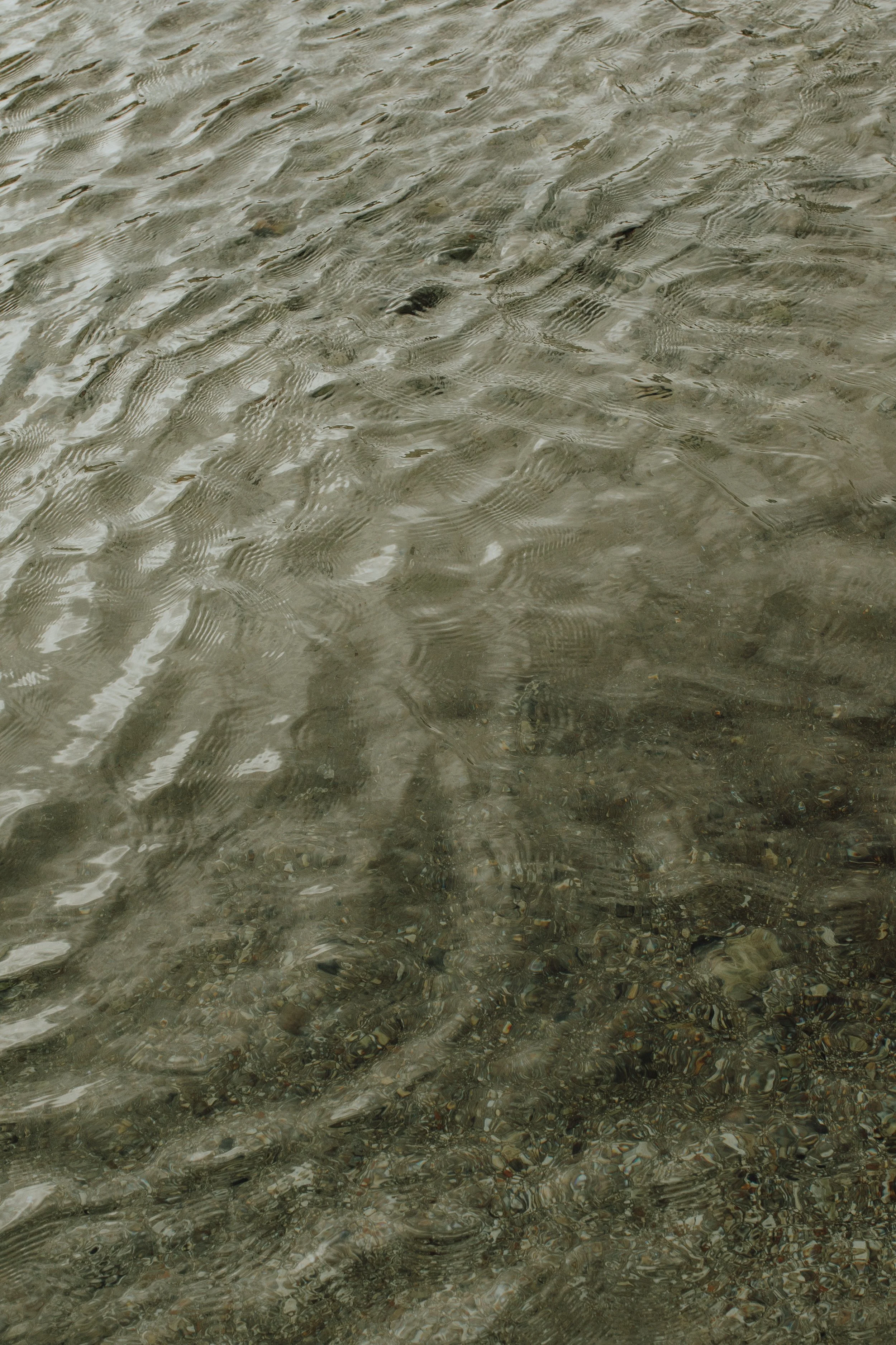 Ripples on the Little Piddle - Lyscombe, Dorset - January '26
