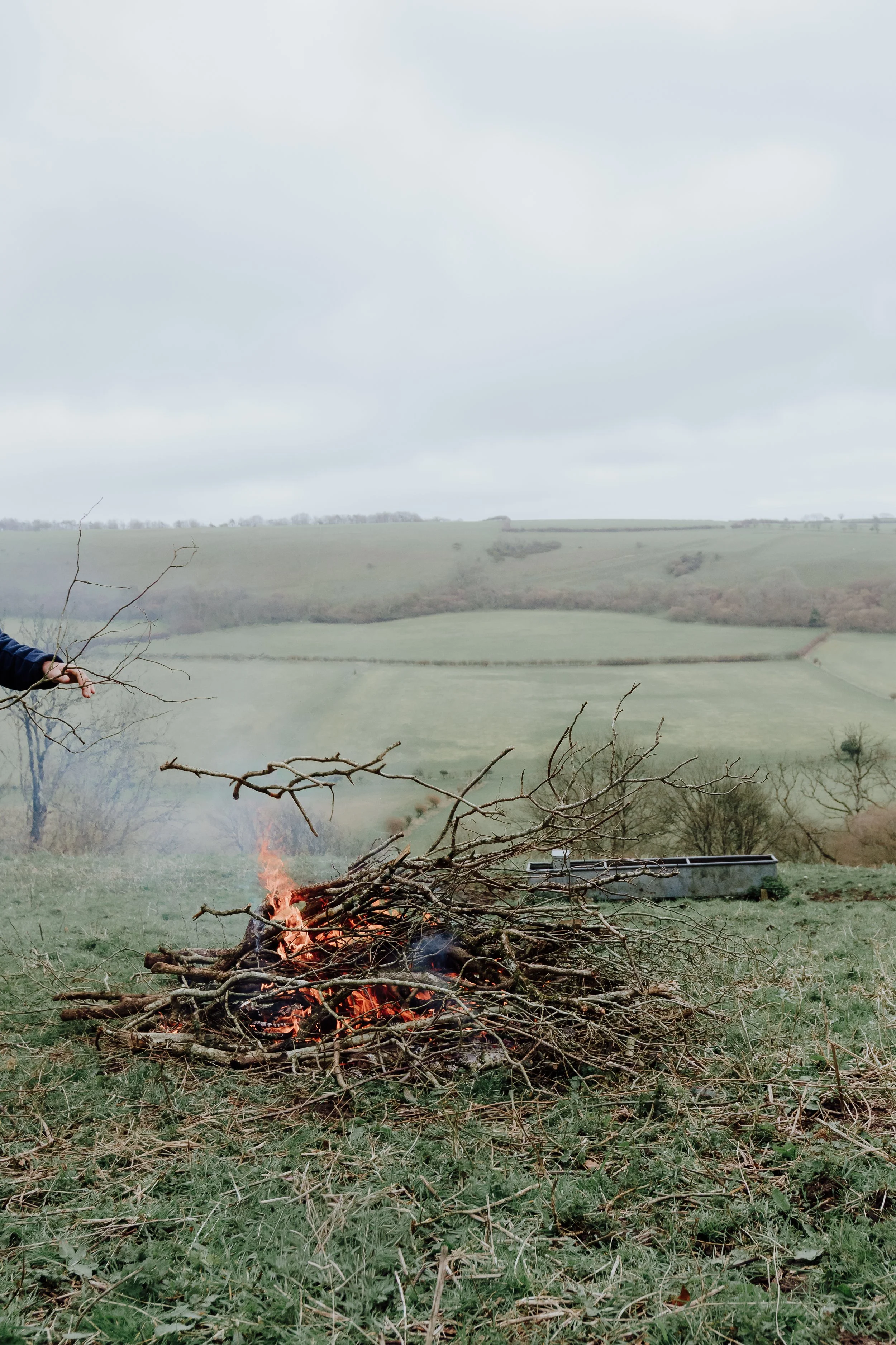 A bonfire burning cut scrub cleared from the land, Lyscombe, Dorset - February '26