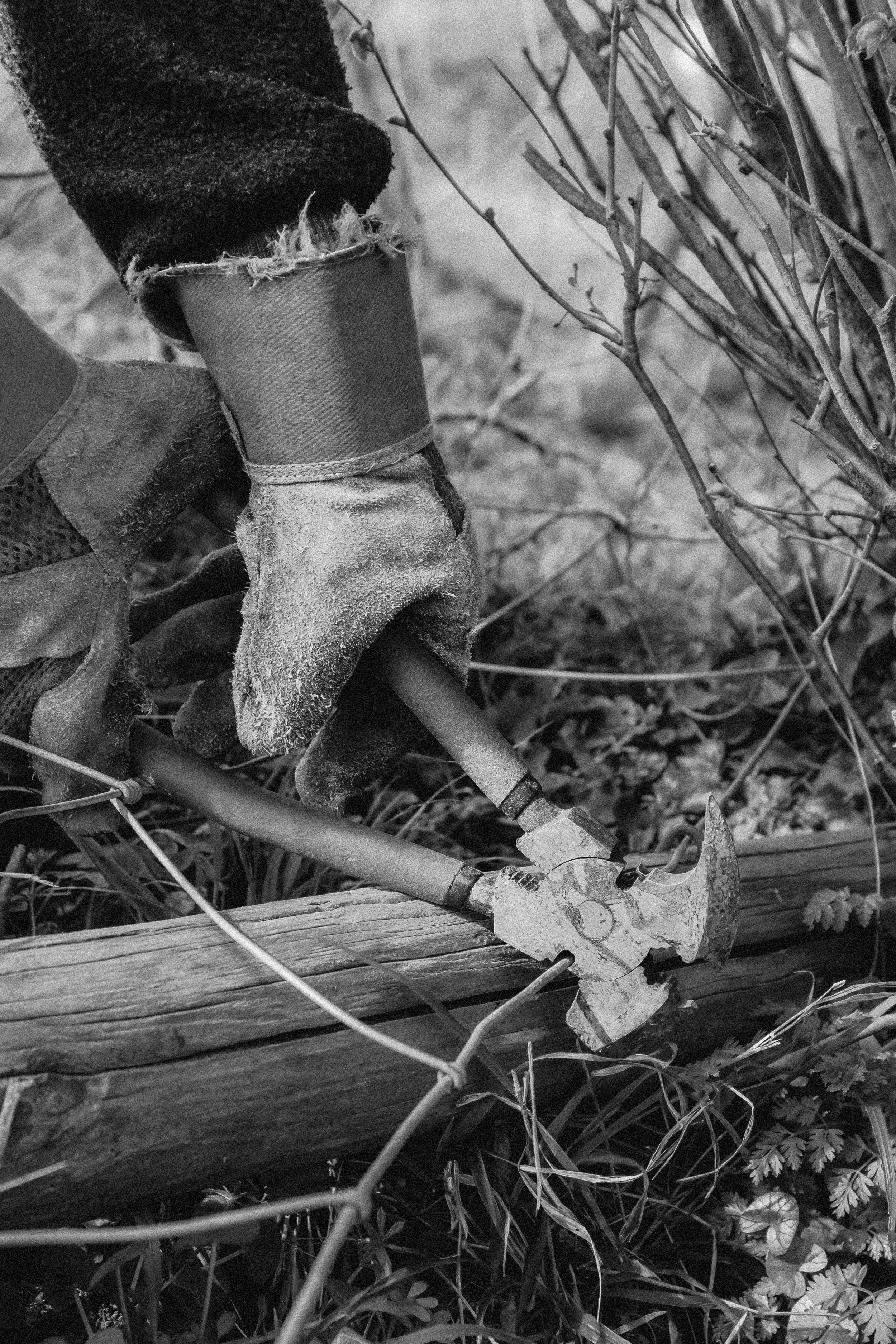 Lyscombe Fence Clearing_06.jpg