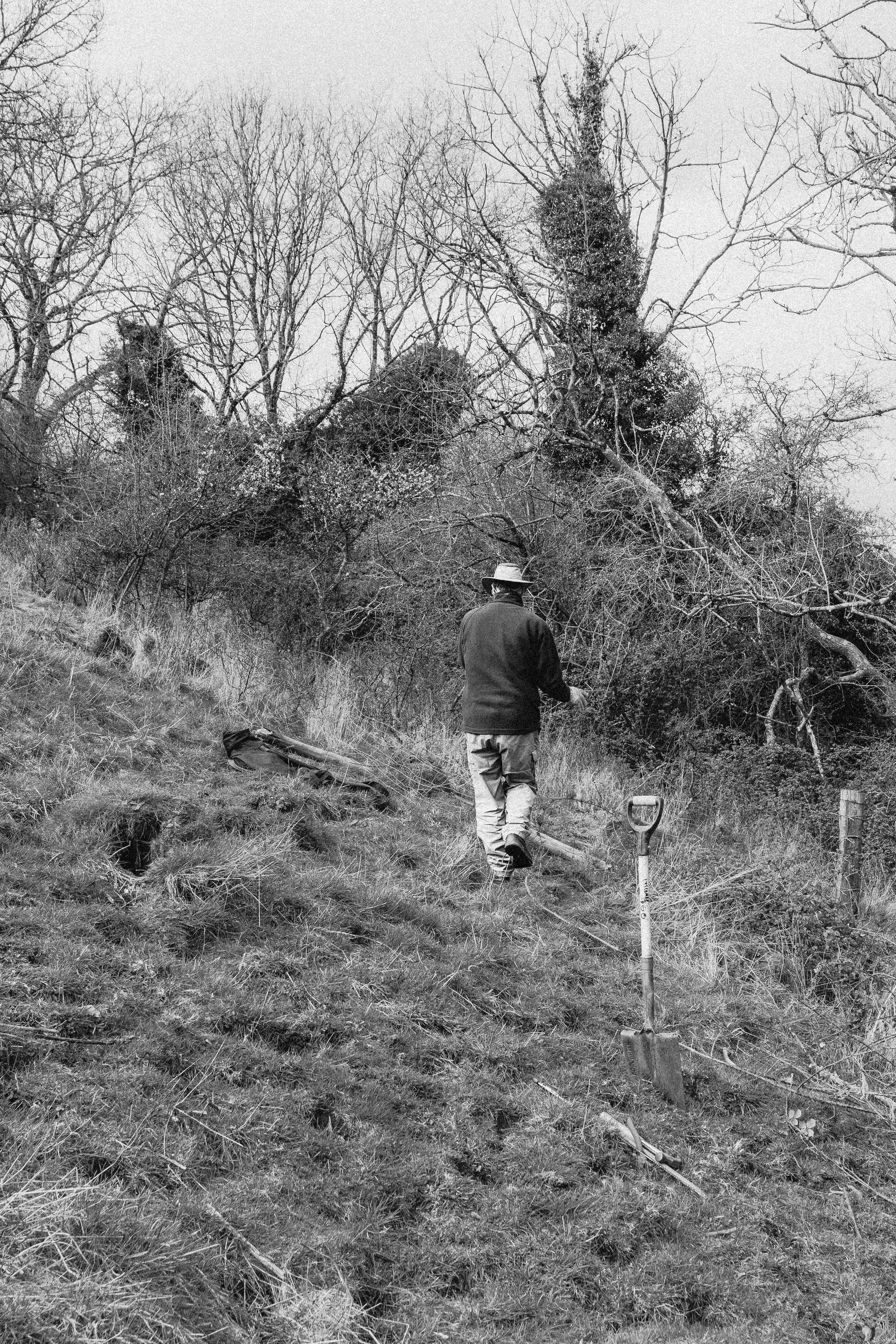 Lyscombe Fence Clearing_14.jpg