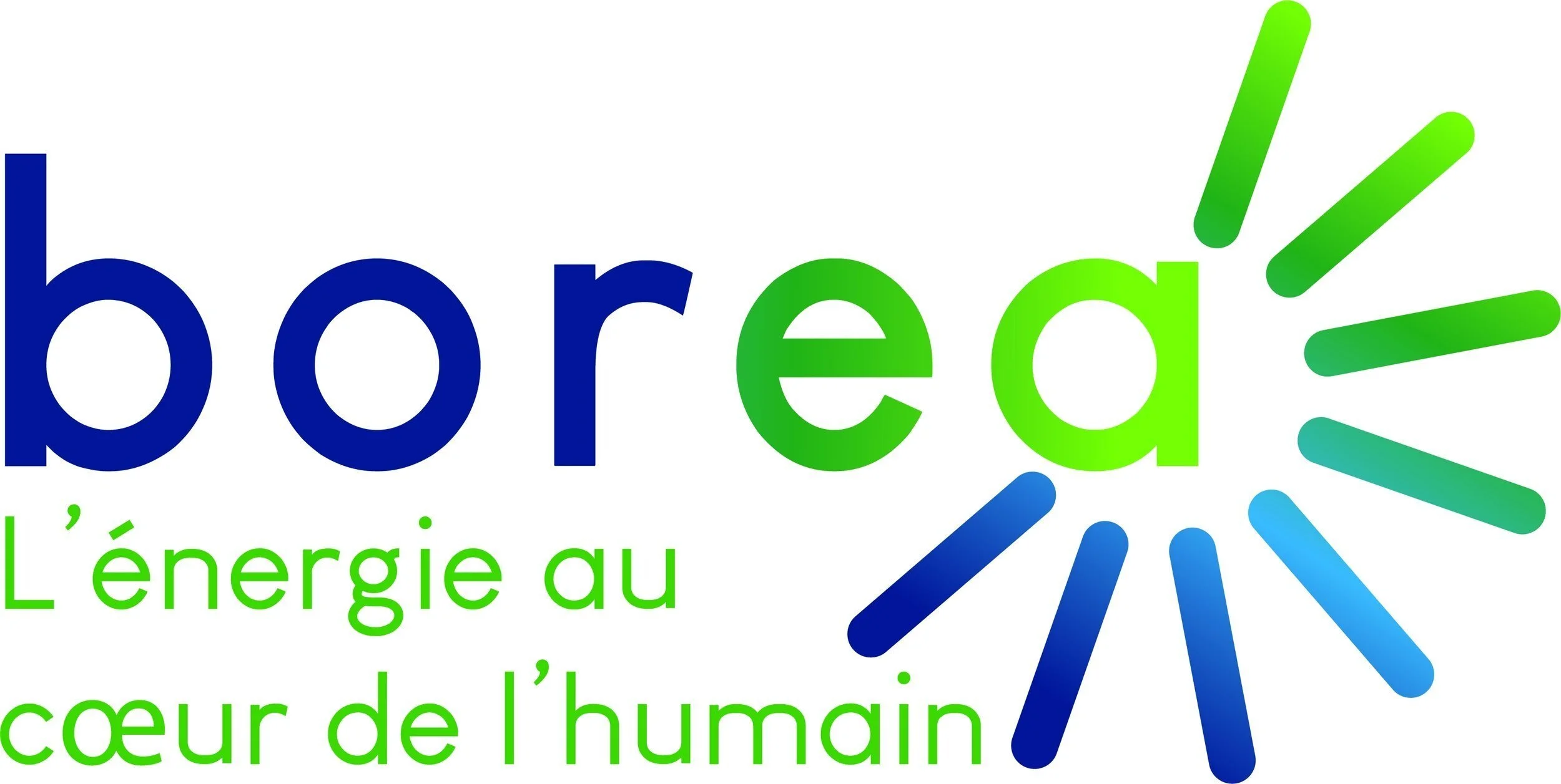 image-asset.jpg
