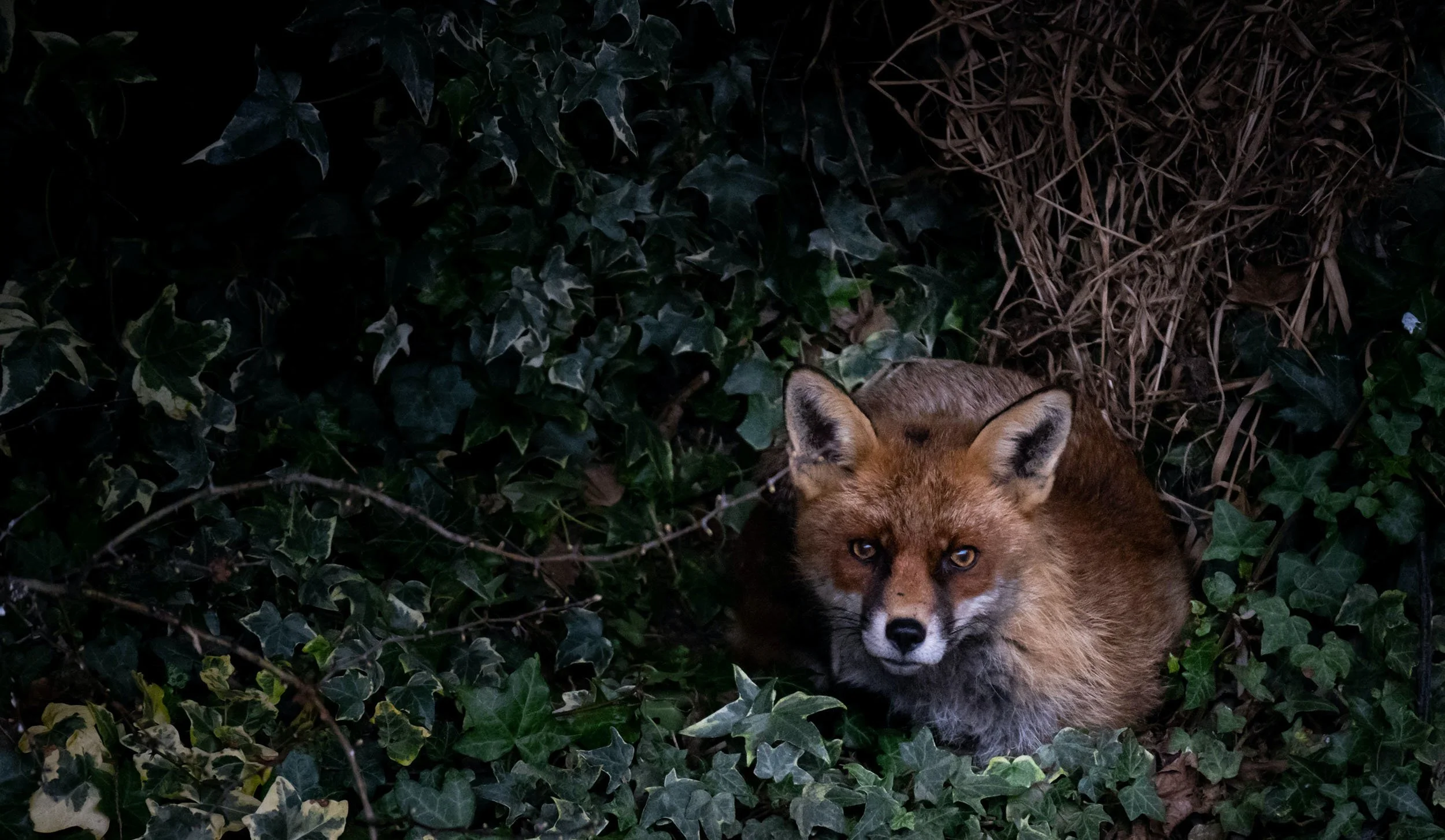 Biodiversity Net Gain Units | BNG Units | Biofarm