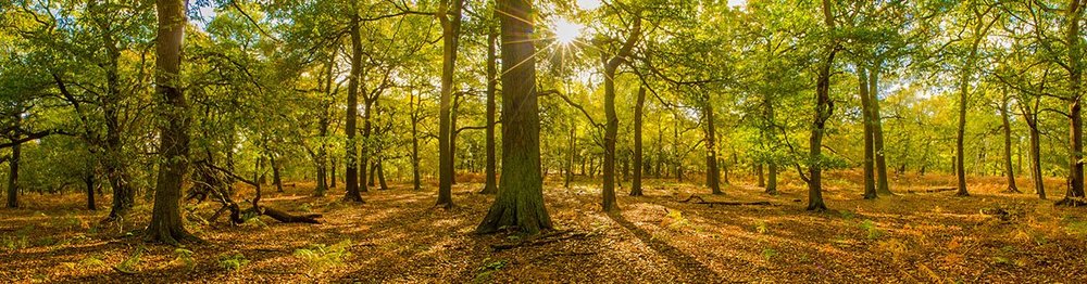Biodiversity Net Gain Units | BNG Units | Biofarm