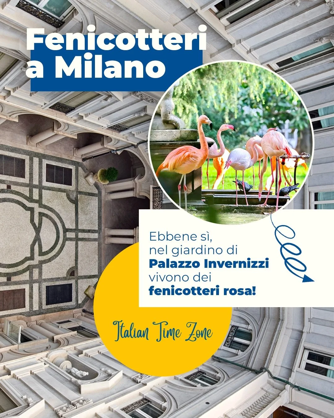 🤩 Lo sapevi?! #milano &egrave; una citt&agrave; piena di sorprese e di storie nascoste! 

Inizia ad esplorare questa bellissima citt&agrave; con il mio libro &ldquo;Quatto passi nella storia. Milano nascosta.&rdquo; (su Amazon o al link al profilo) 