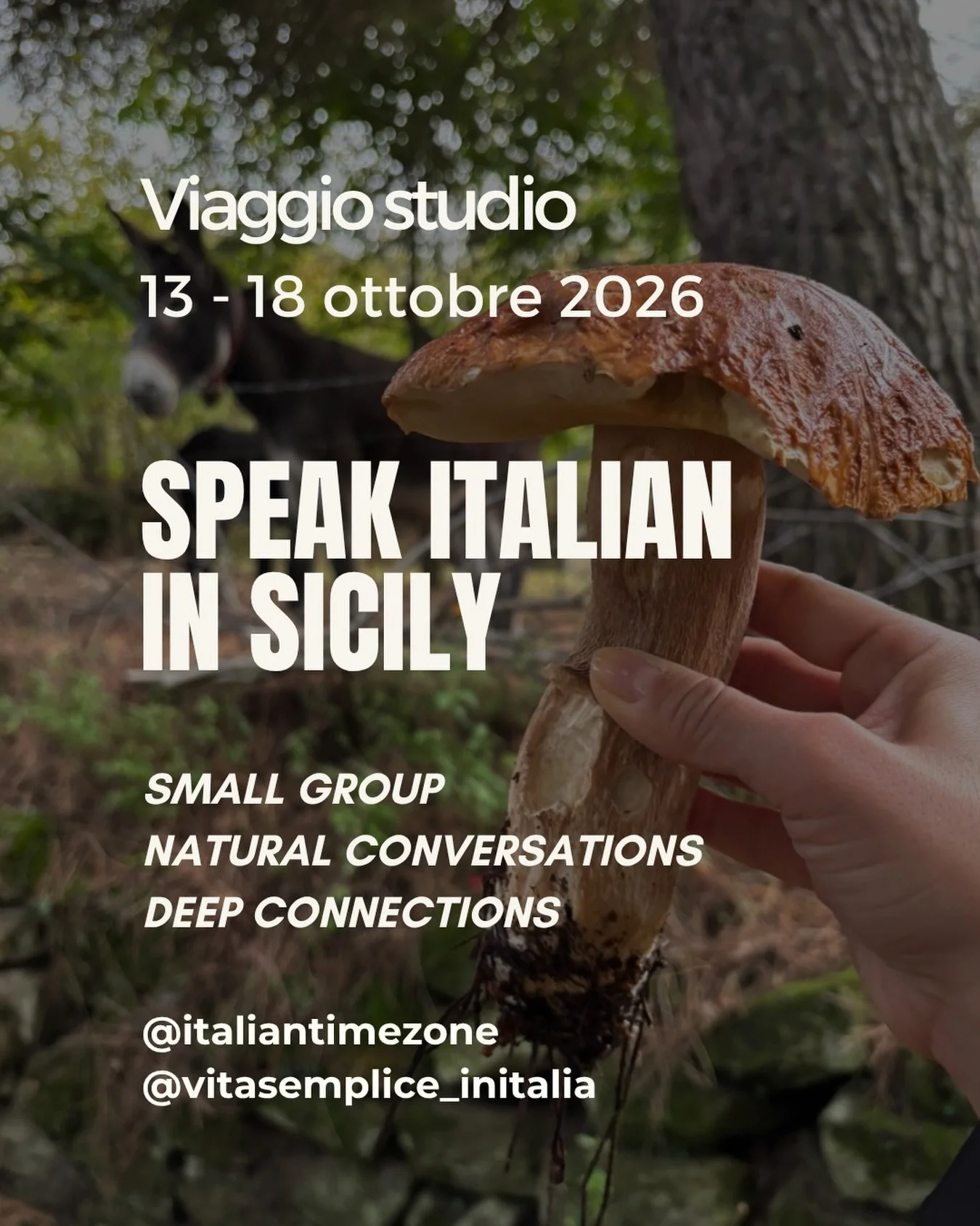 Imagine waking up in a hilltop Sicilian village, stepping into the morning sun and, by breakfast, you&rsquo;re already thinking in Italian. 

Not a language school. Not a tourist trip. Something much better.

Our full immersion retreat in San Piero P