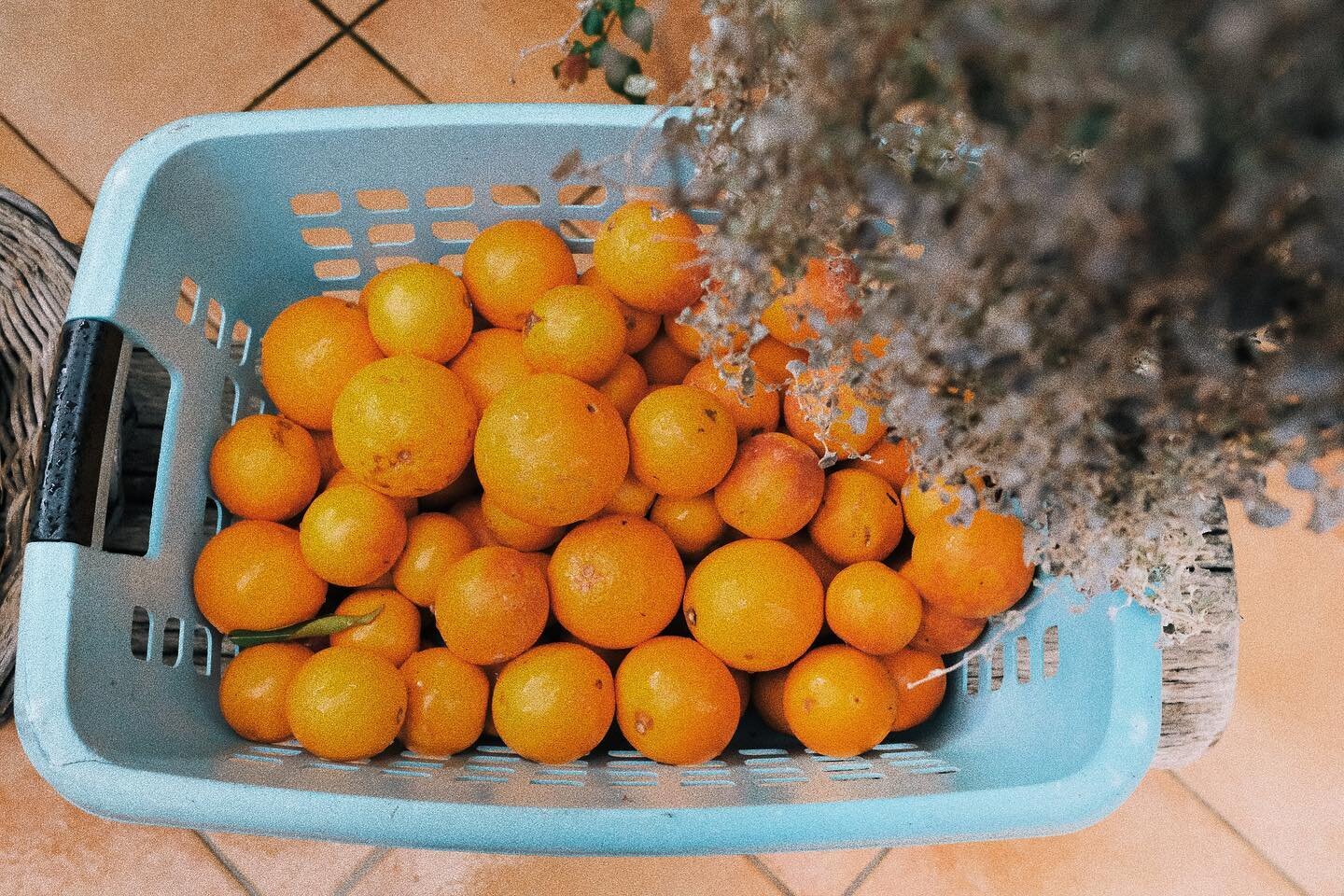 #shooting some #oranges
.
.
.
#spain #productionlife #onlocation #bts #agencylife #travelphotography #whatisee