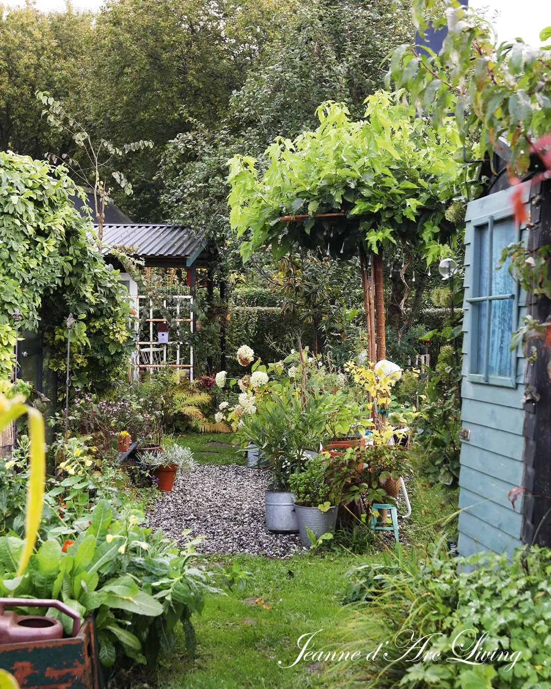 En grøn have med forskellige planter, trær, blomster og en sti, omsluttet af hegn og små bygninger.