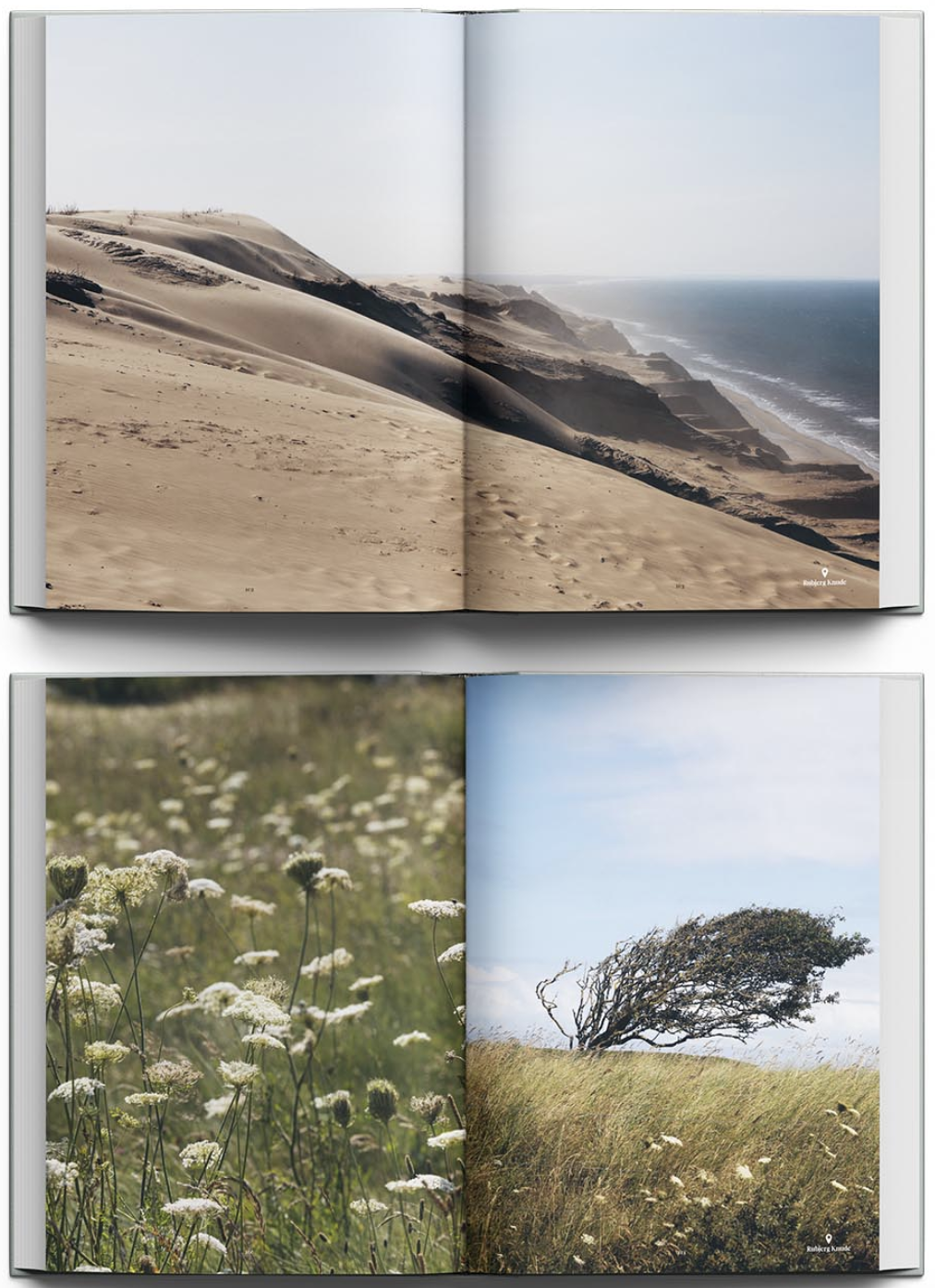 Skærmbillede 2026-03-03 kl. 07.19.25.png