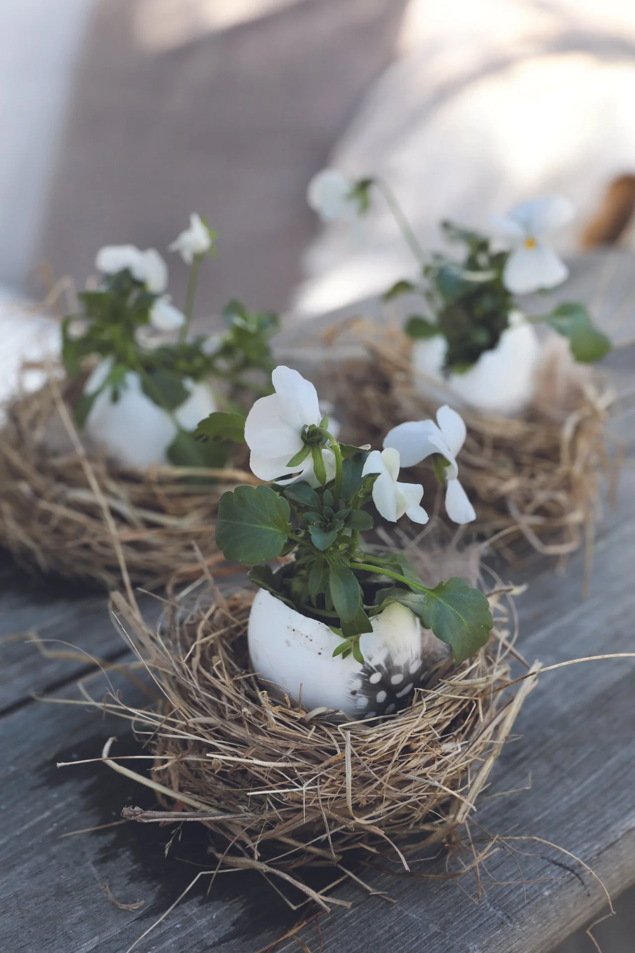 FÅ PLADSER! Forårs og påskekranse med Anno 1808