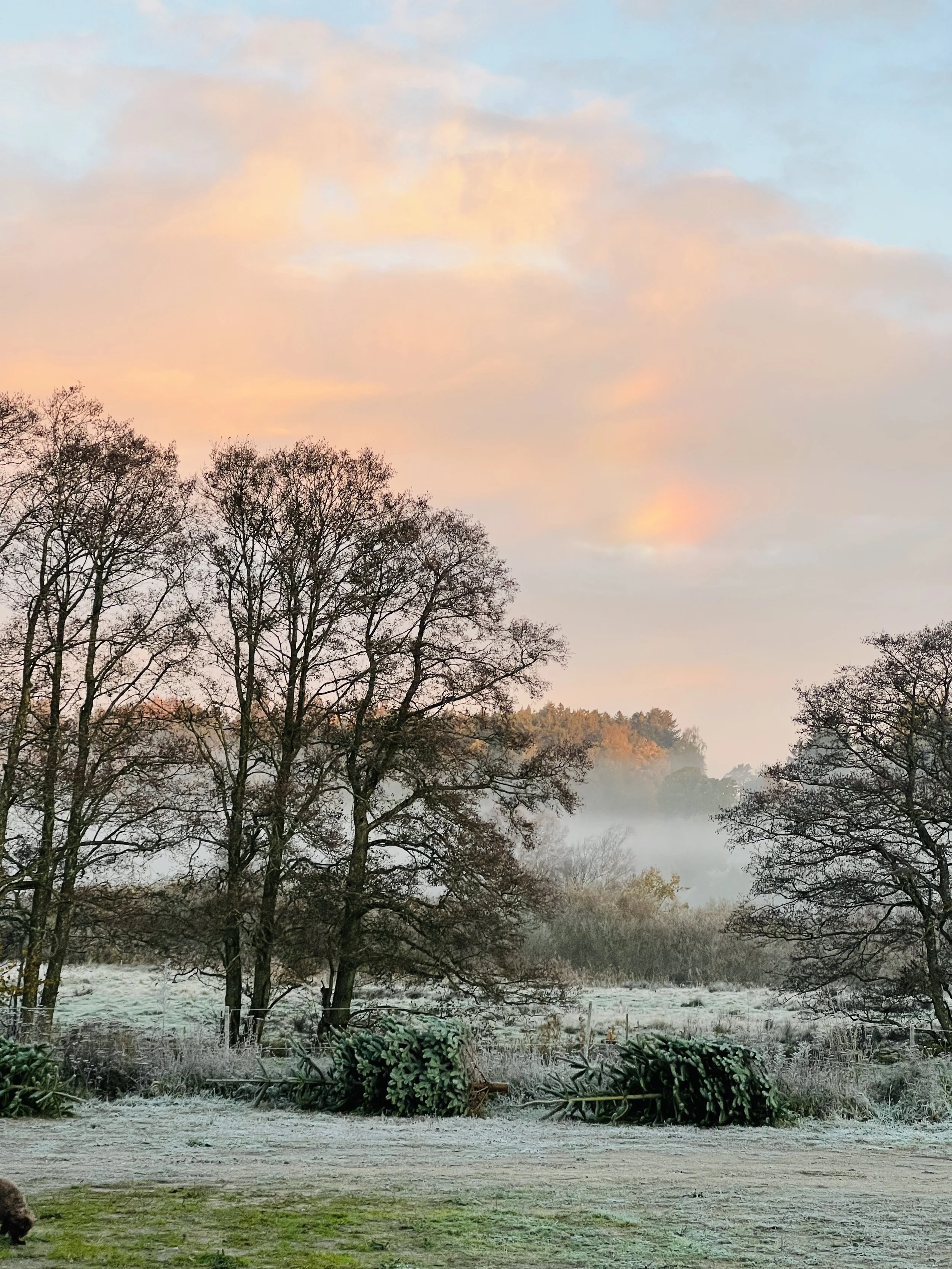 Julemarked LØRDAG TIDLIG ADGANG 