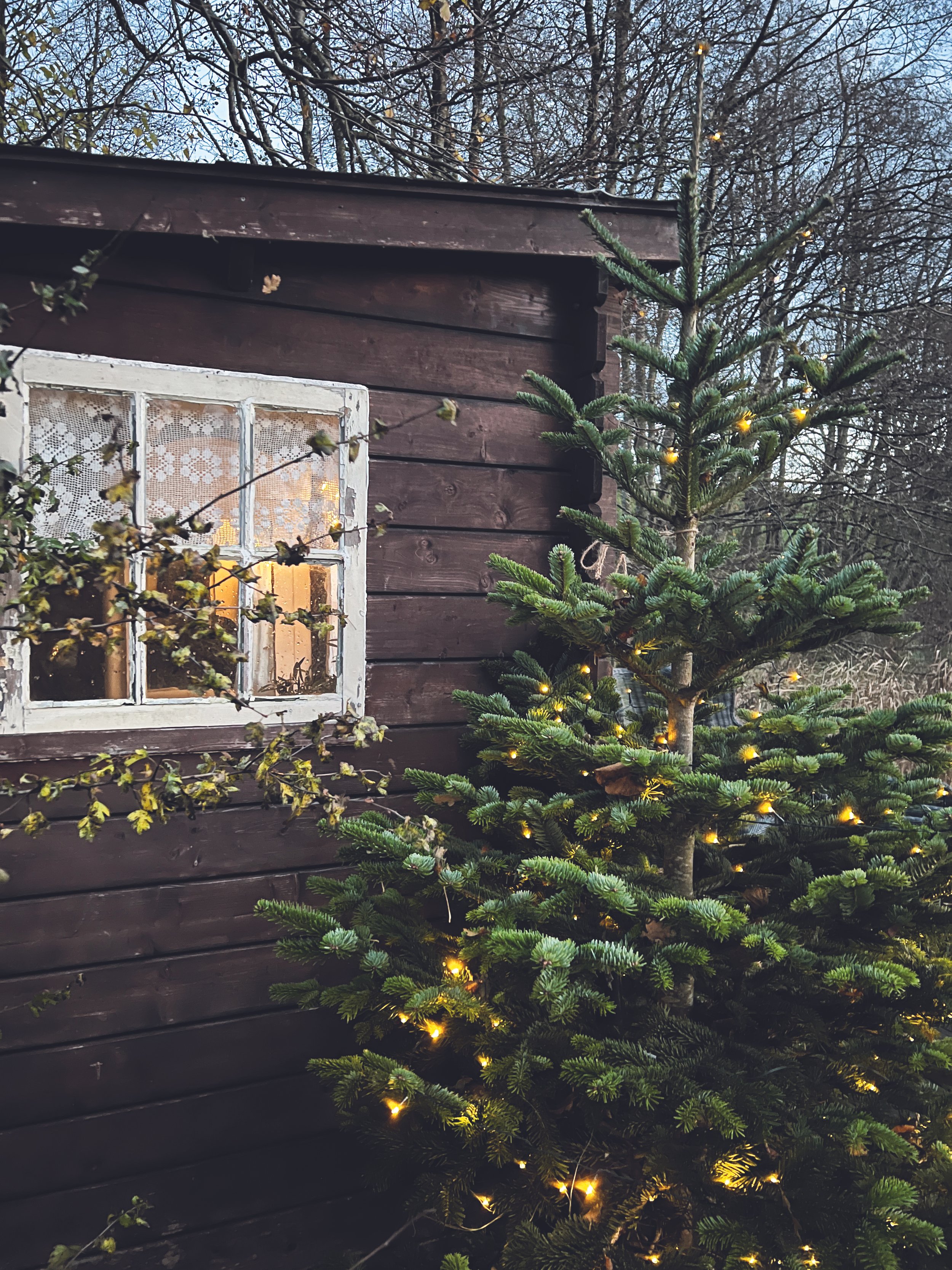 Julemarked SØNDAG TIDLIG ADGANG 