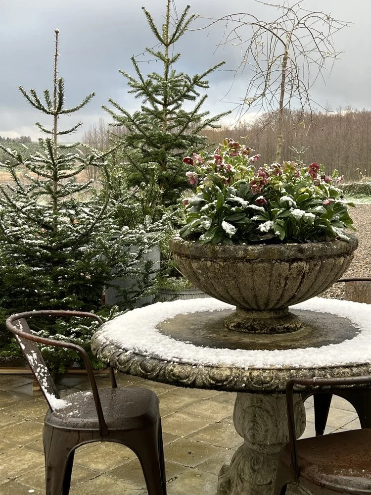 Julemarked SØNDAG SEN ADGANG 