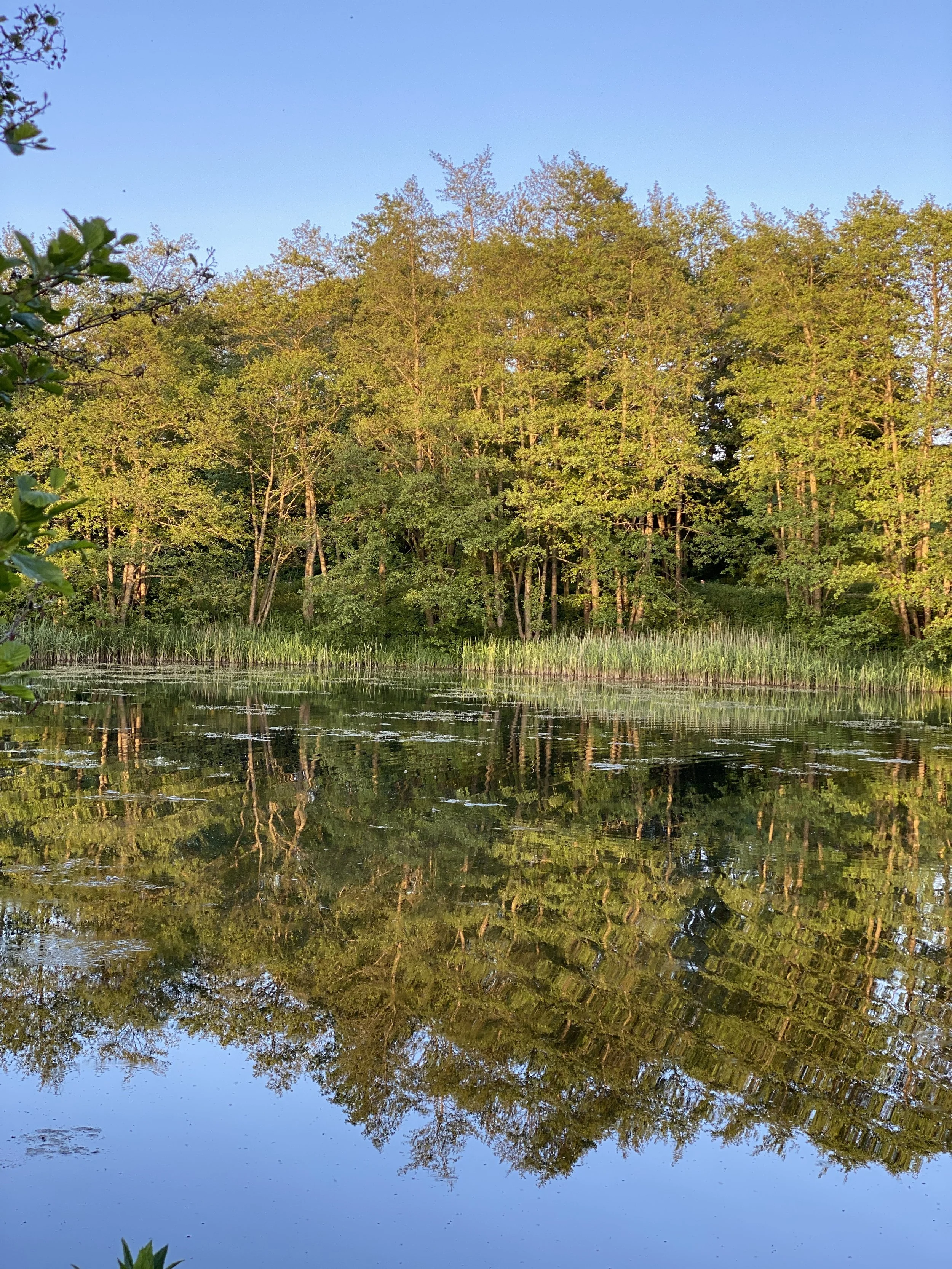 Vandrekoncert Ved Kærby Mølle