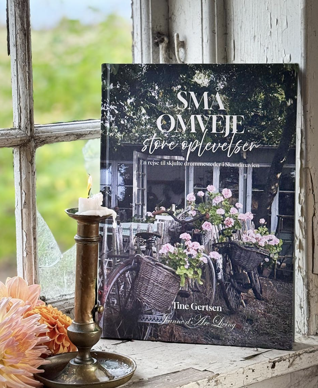 Skærmbillede 2026-03-03 kl. 07.17.56.png